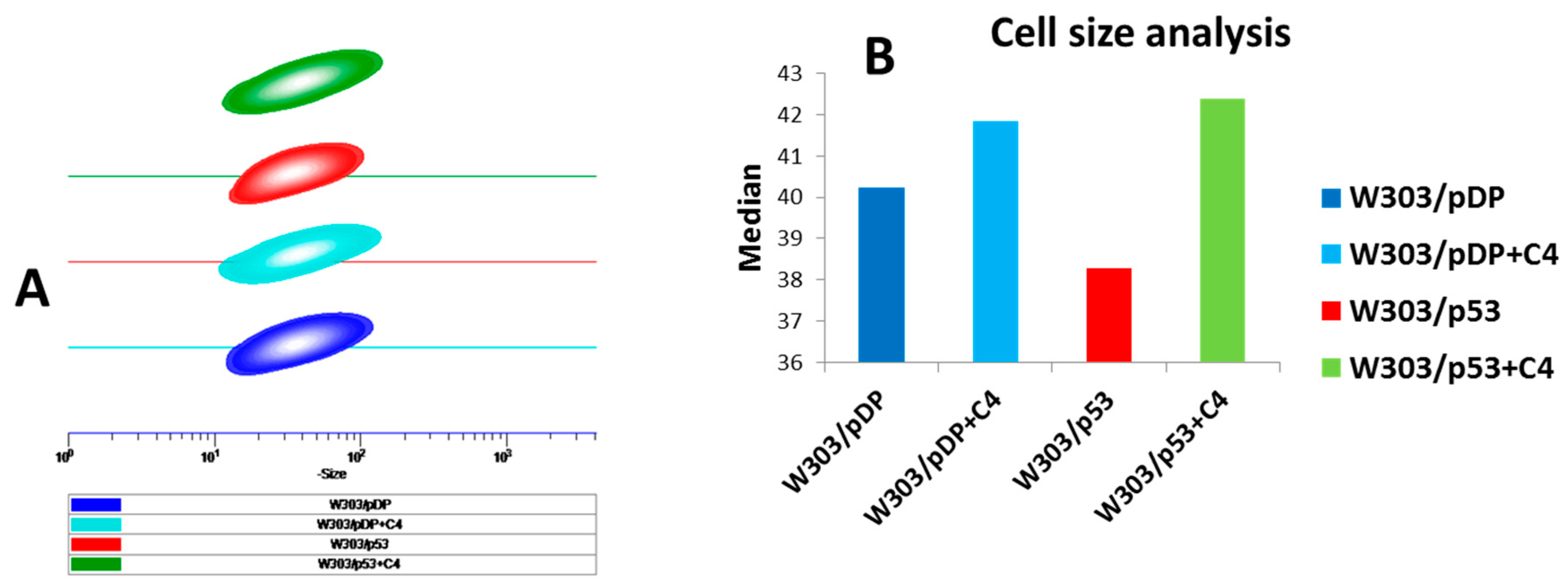 Cells 11 00869 g005 Cells 11 00869 g005