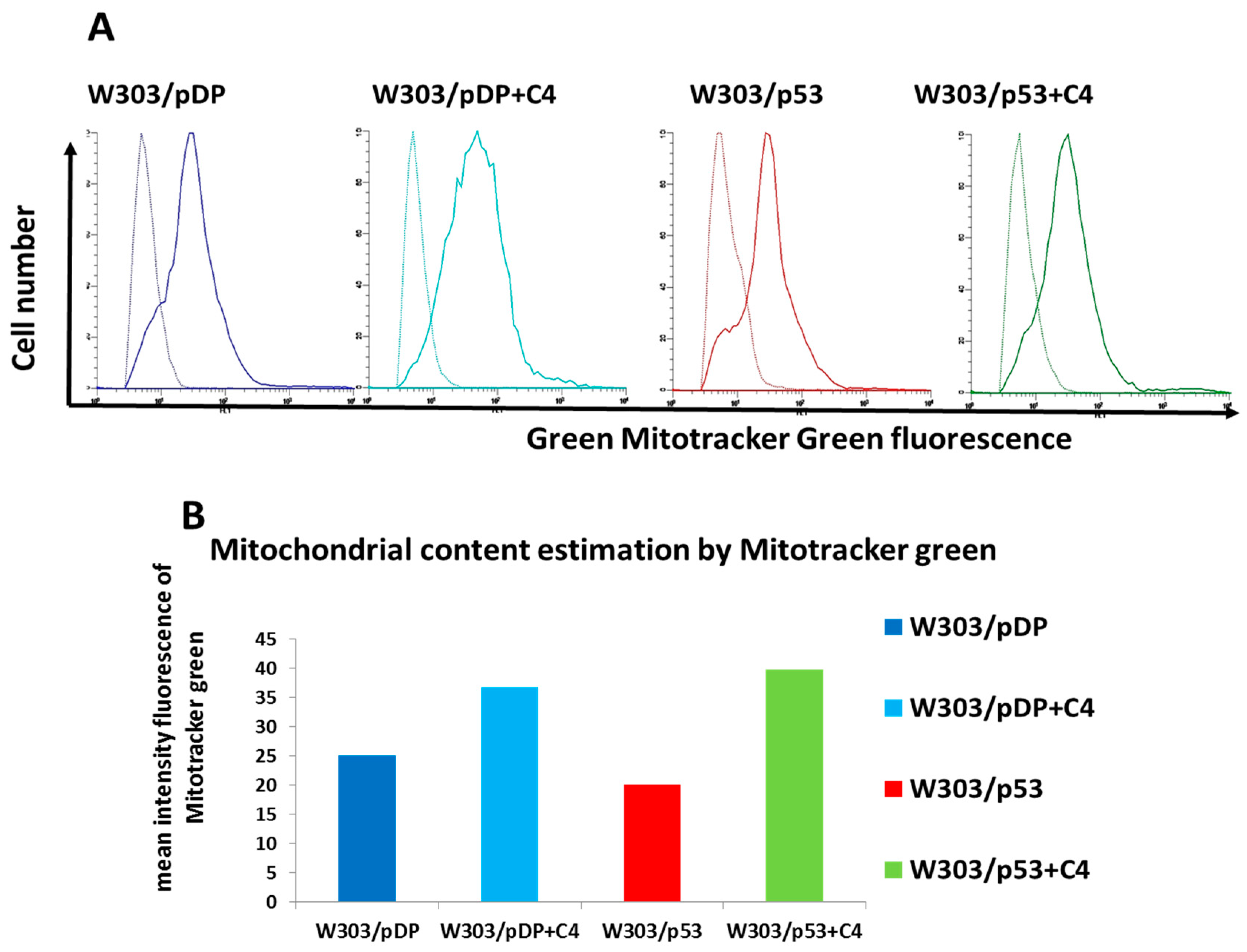 Cells 11 00869 g006 Cells 11 00869 g006