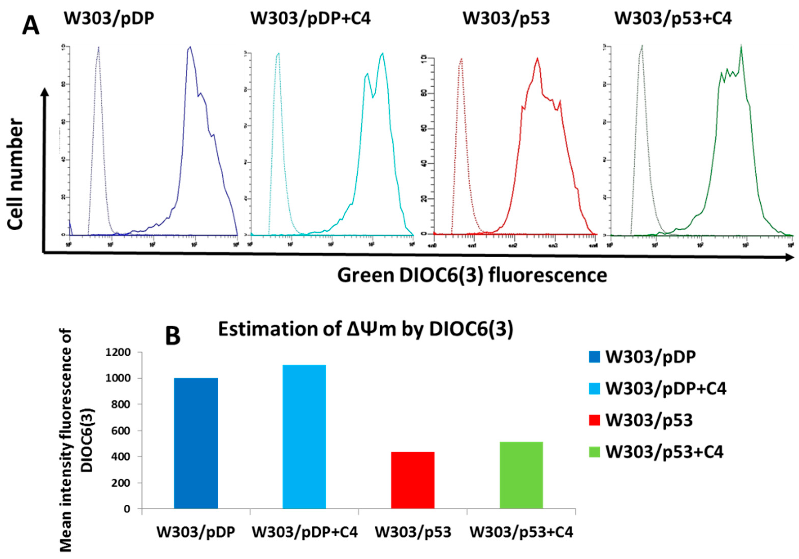 Cells 11 00869 g008 Cells 11 00869 g008