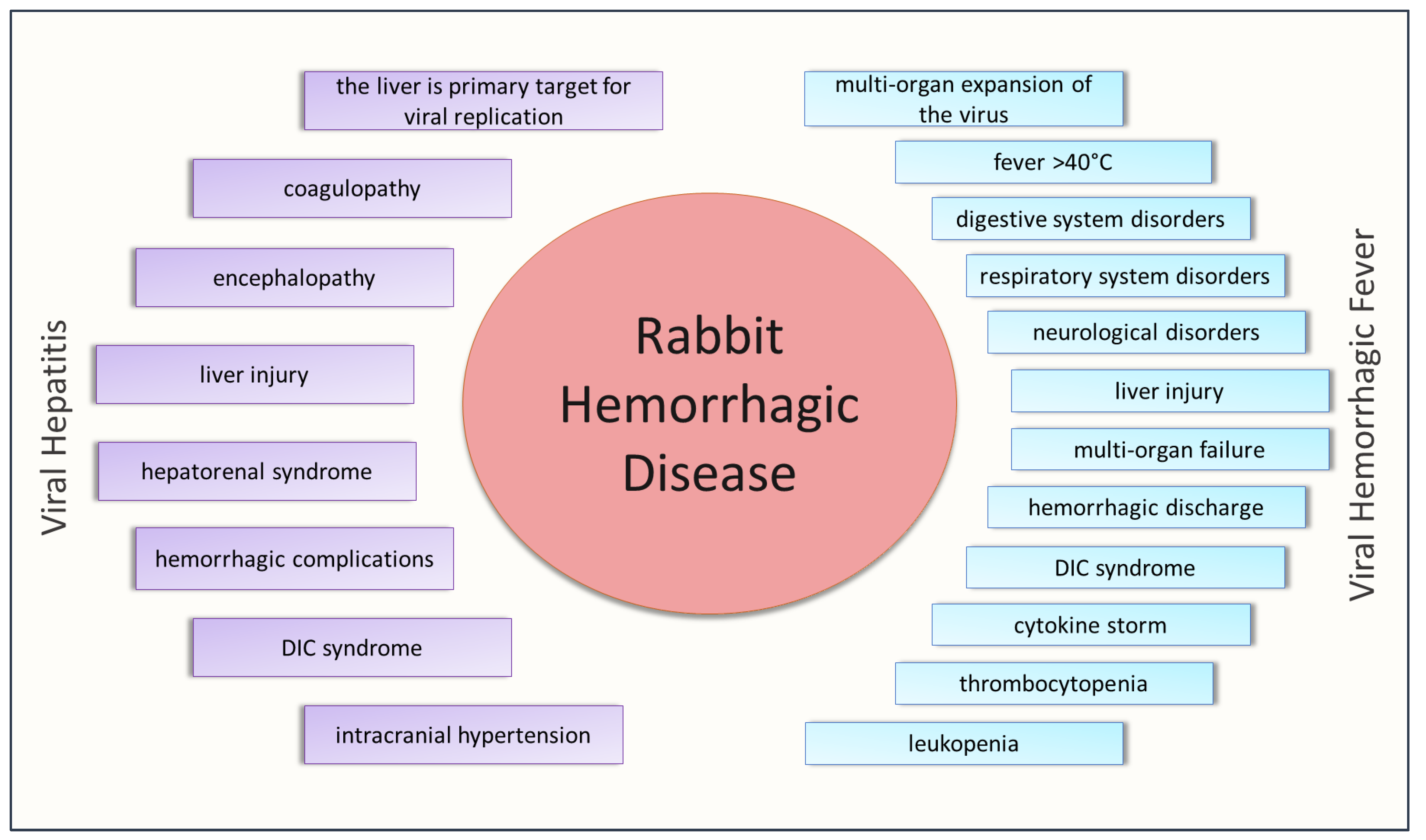 dengue-fever-causes-symptoms-treatment