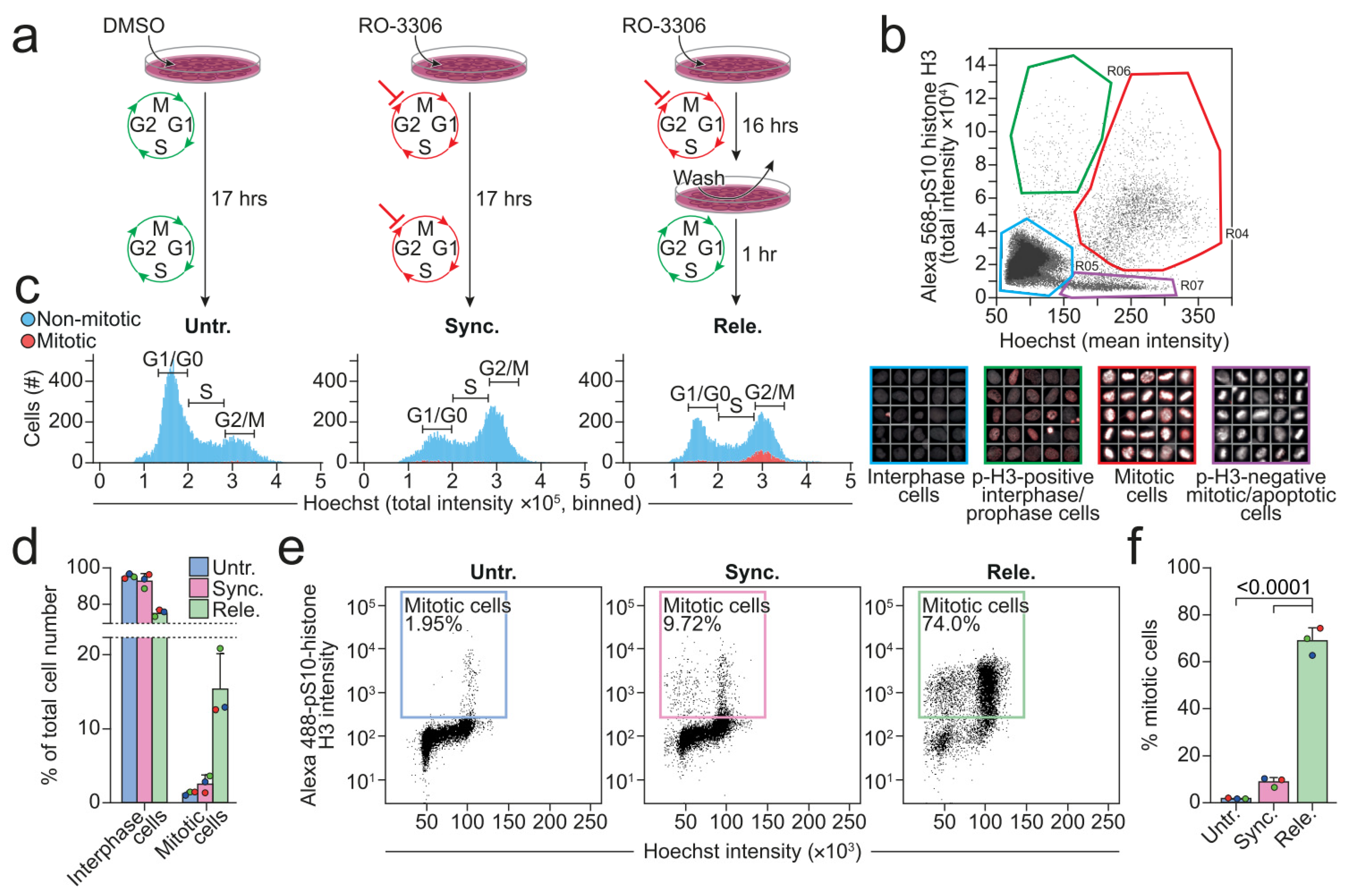 Cells 11 00875 g001 Cells 11 00875 g001
