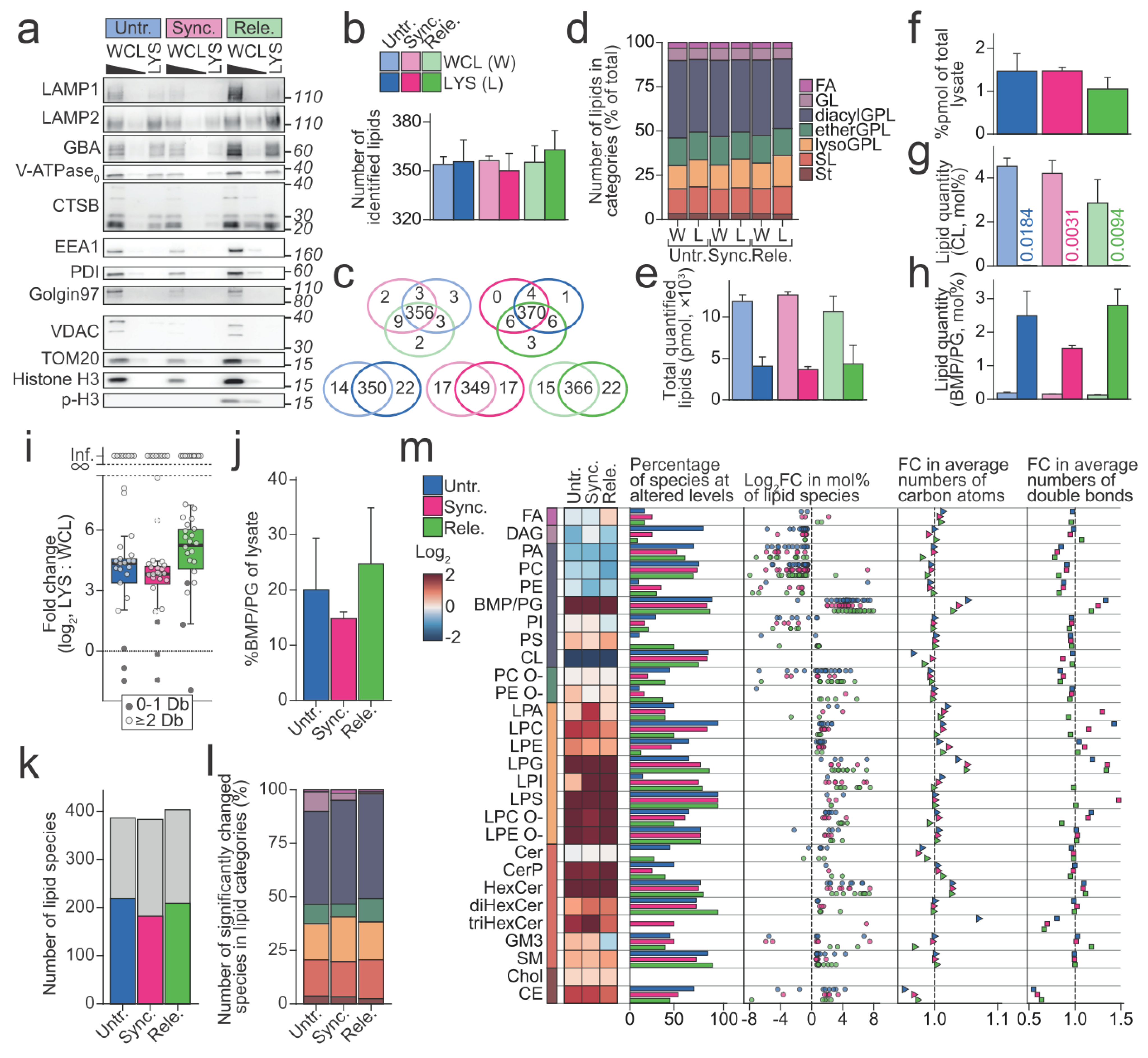 Cells 11 00875 g003 Cells 11 00875 g003