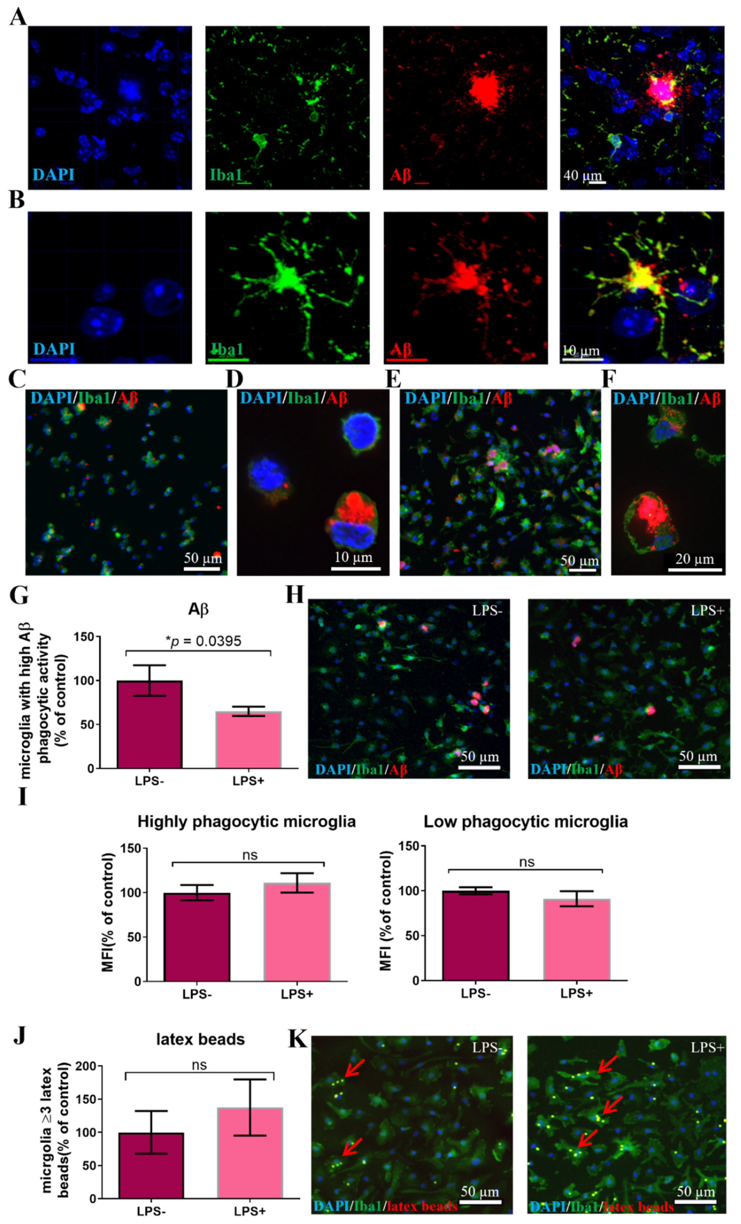Cells 11 00876 g002 550