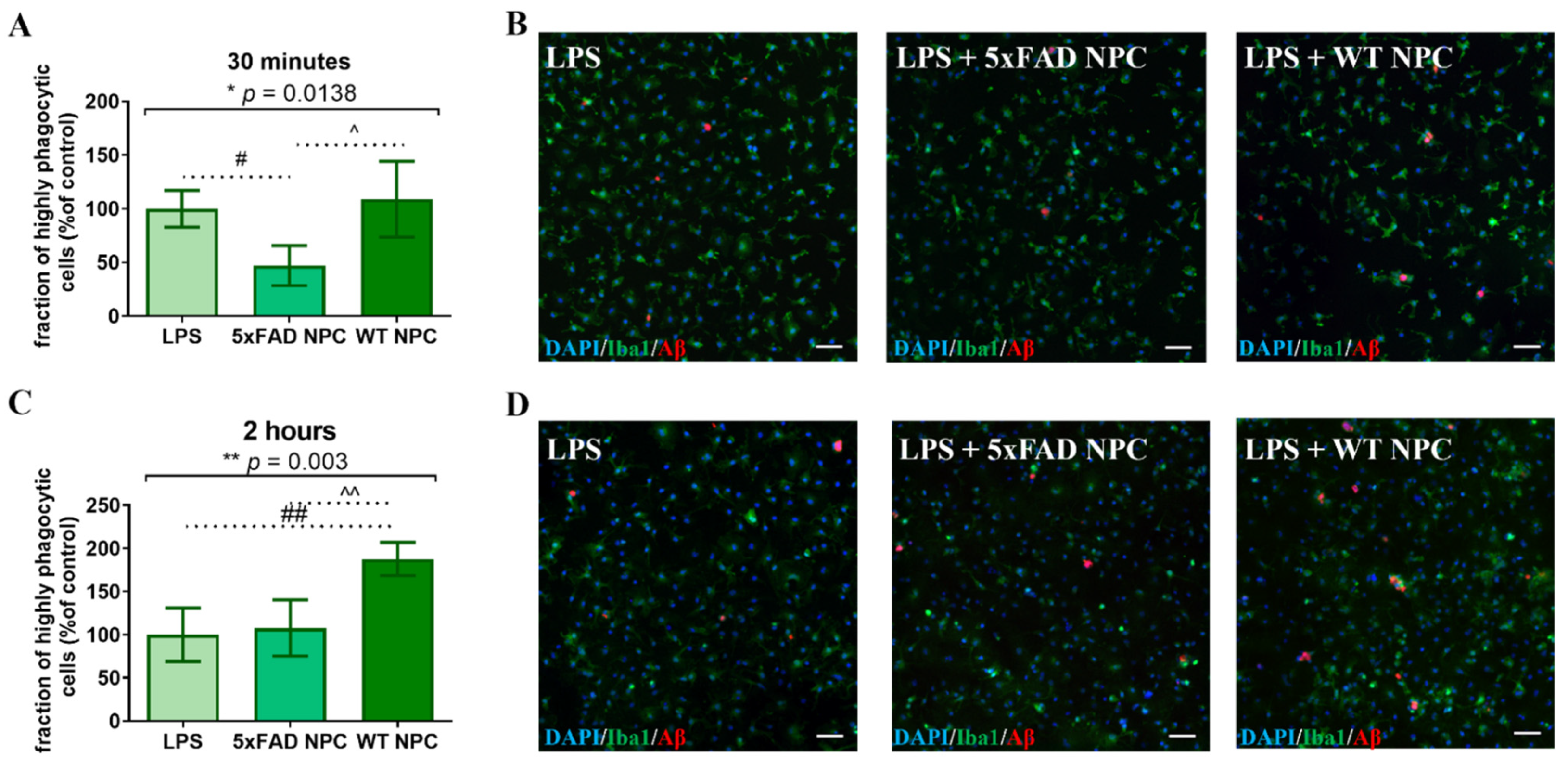 Cells 11 00876 g005 550