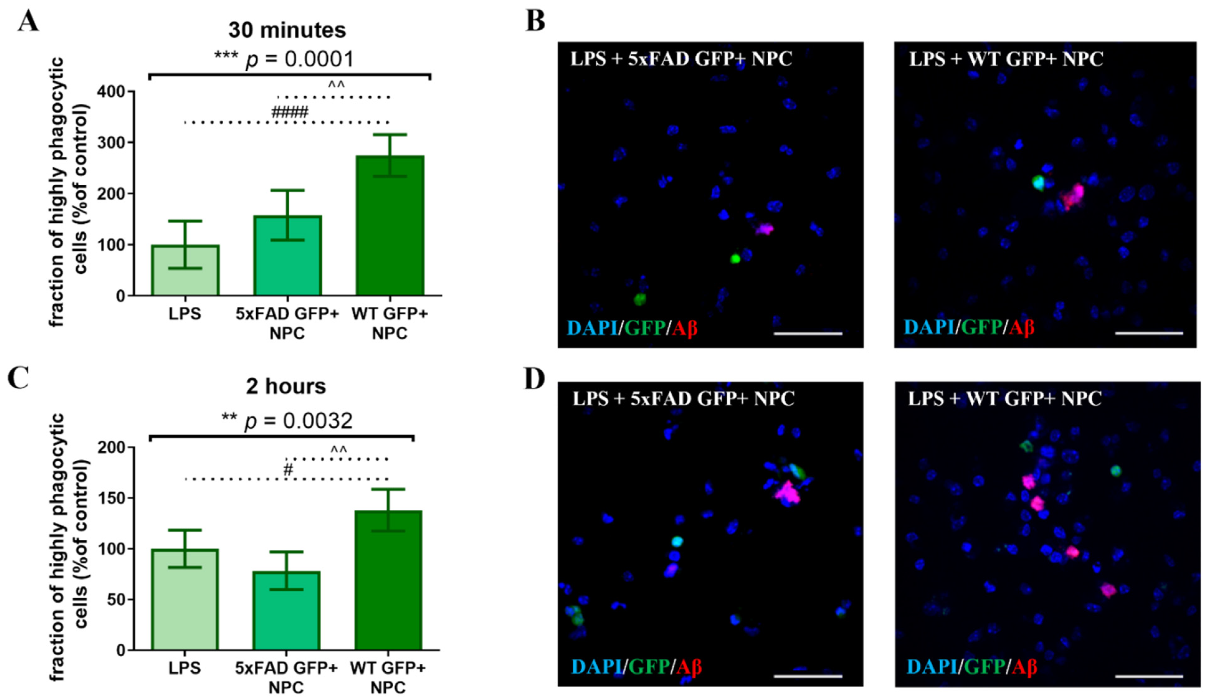 Cells 11 00876 g006 550