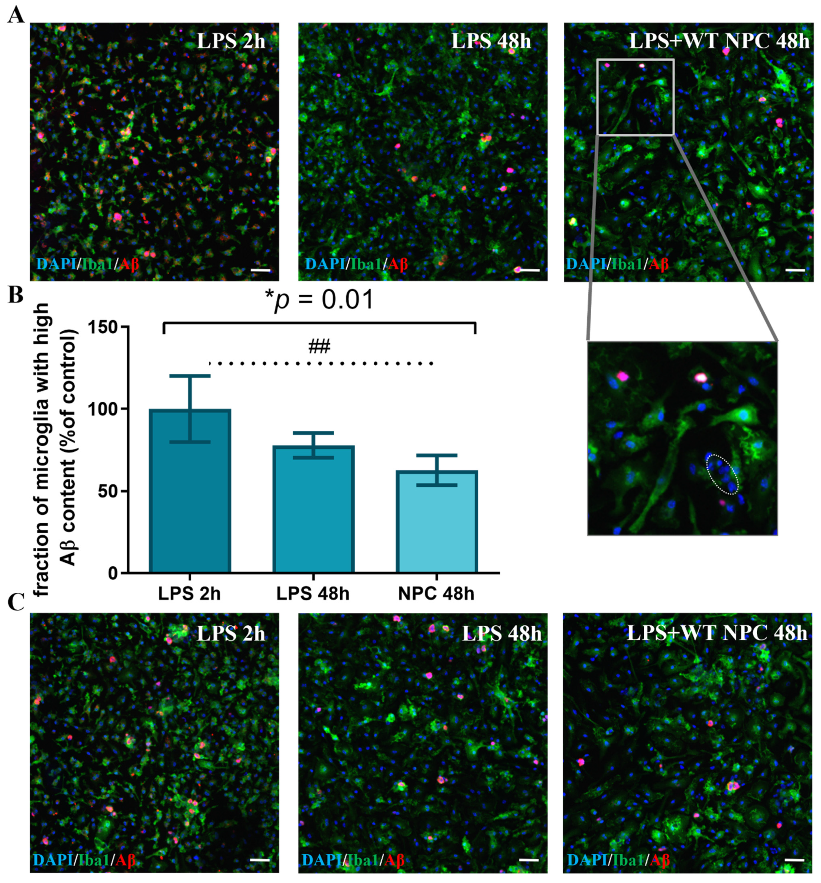 Cells 11 00876 g007 550