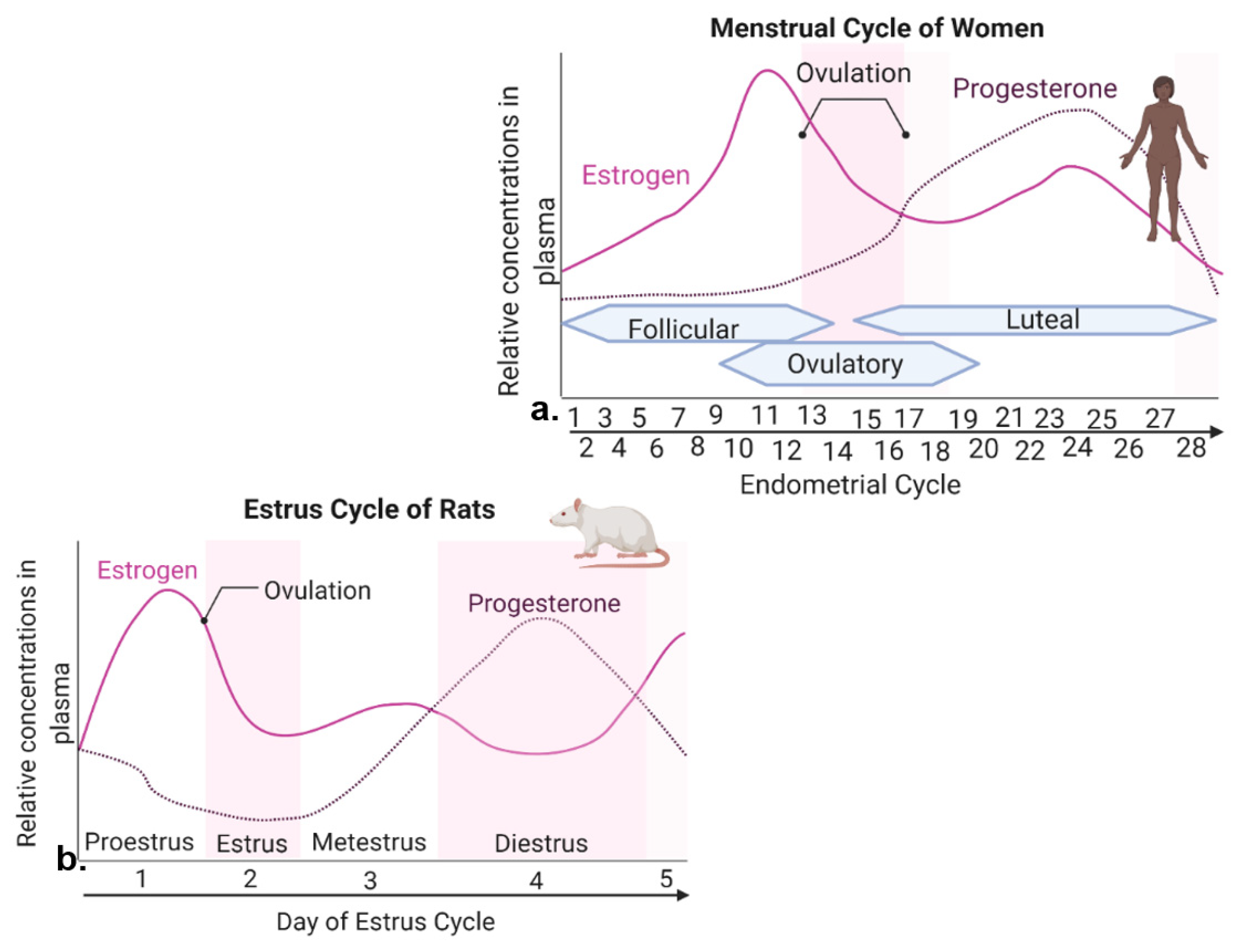 Cells 11 00879 g001 Cells 11 00879 g001