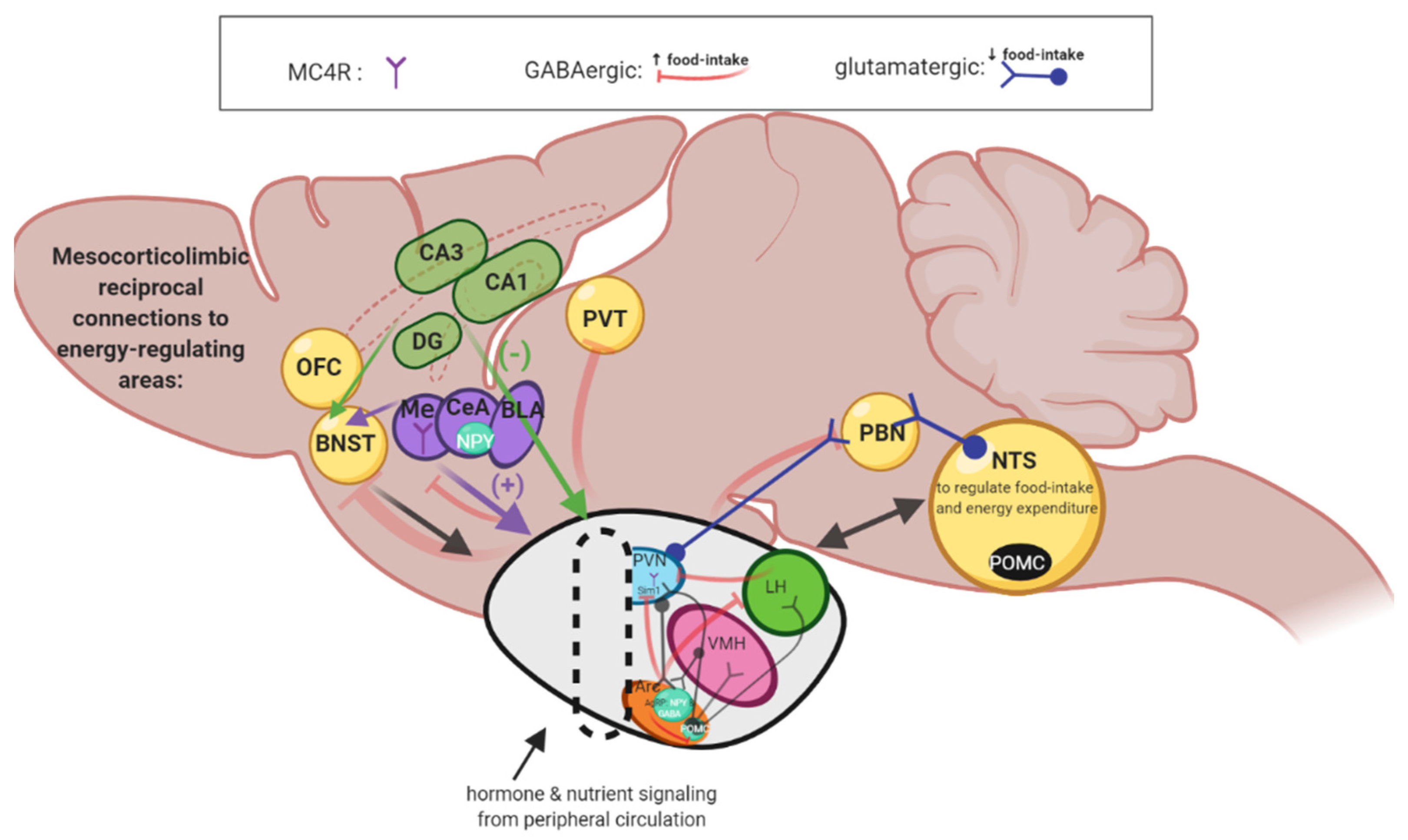 Cells 11 00879 g003 Cells 11 00879 g003