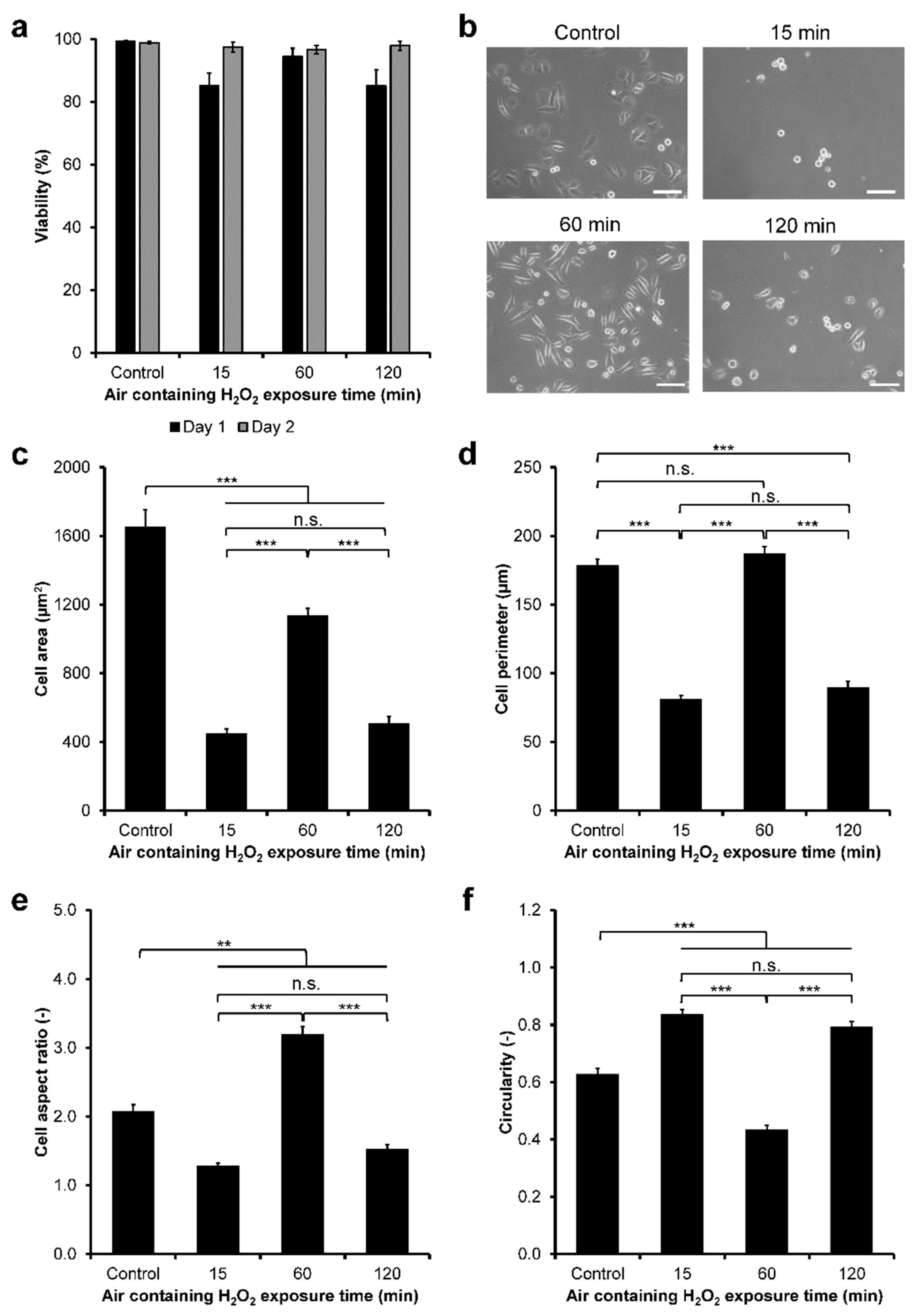 Cells 11 00881 g003 Cells 11 00881 g003