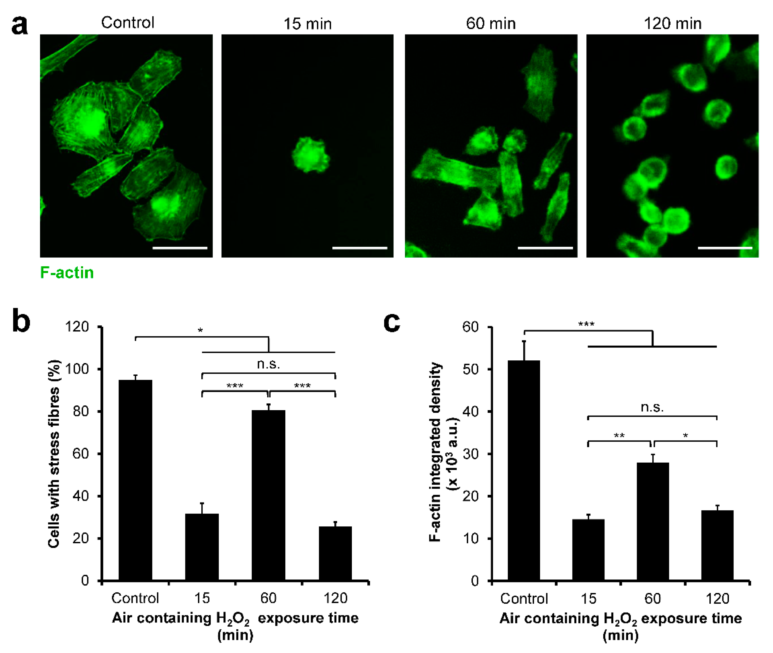 Cells 11 00881 g005 Cells 11 00881 g005