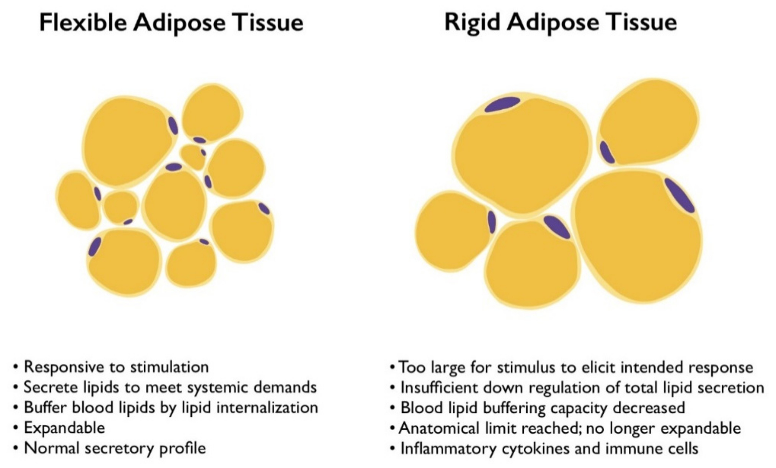 Cells 11 00882 g003 550