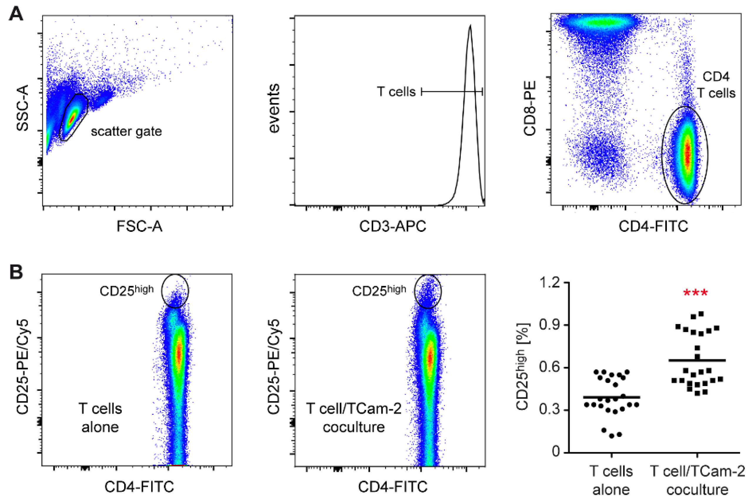 Cells 11 00885 g001 Cells 11 00885 g001