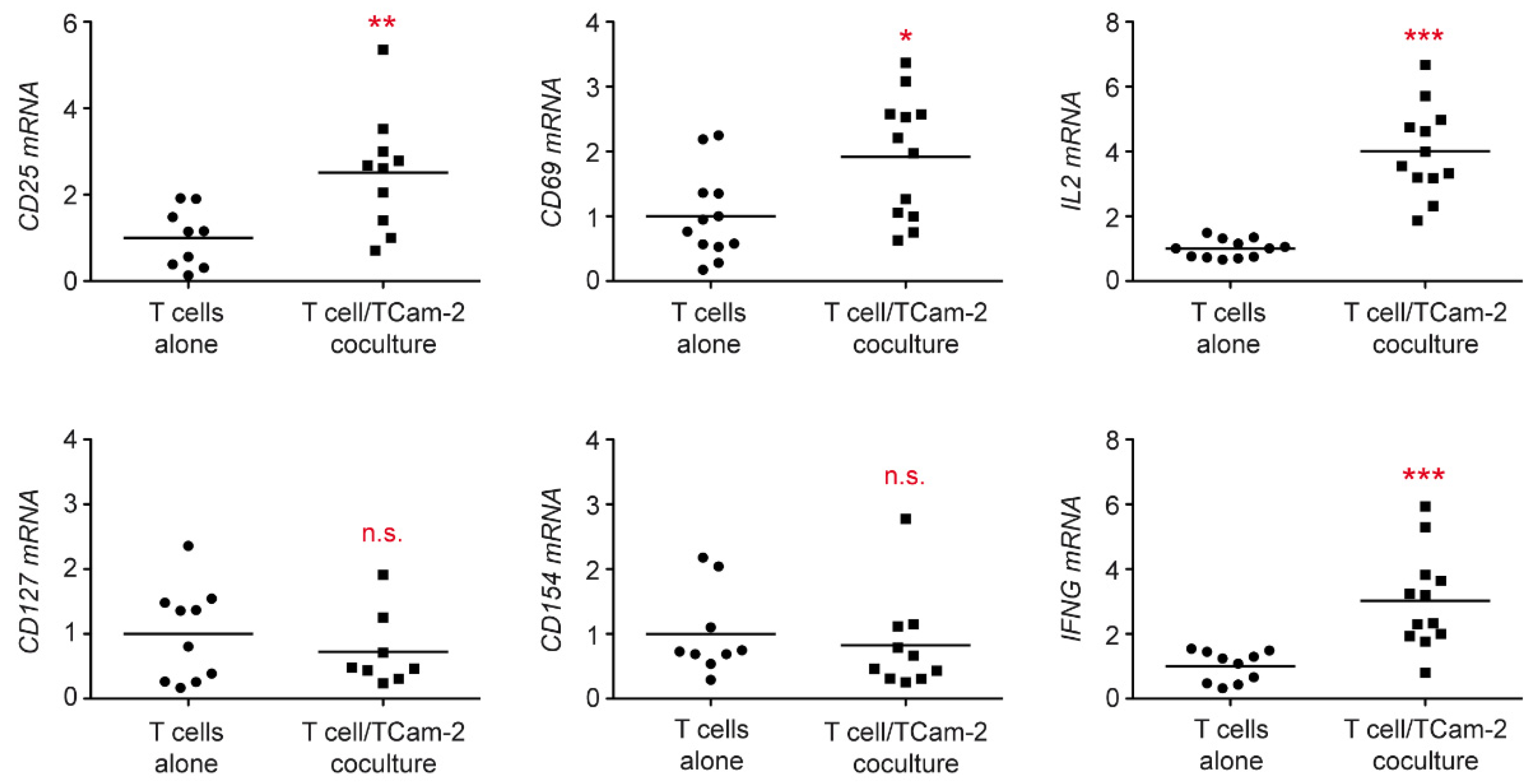 Cells 11 00885 g002 Cells 11 00885 g002