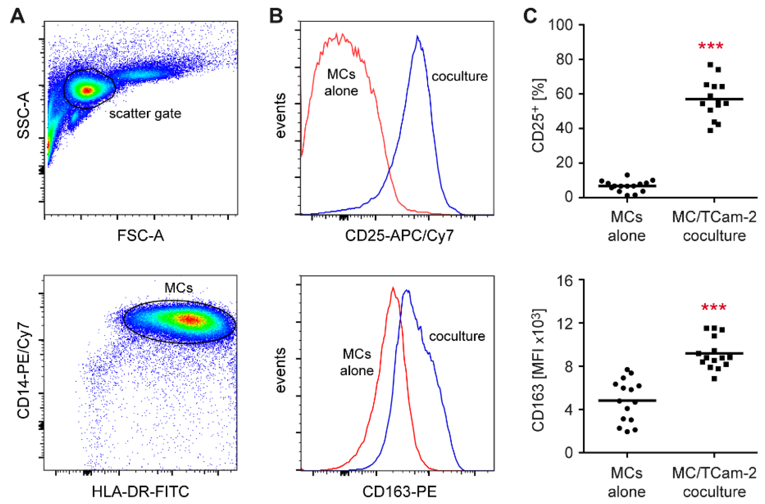 Cells 11 00885 g003 Cells 11 00885 g003