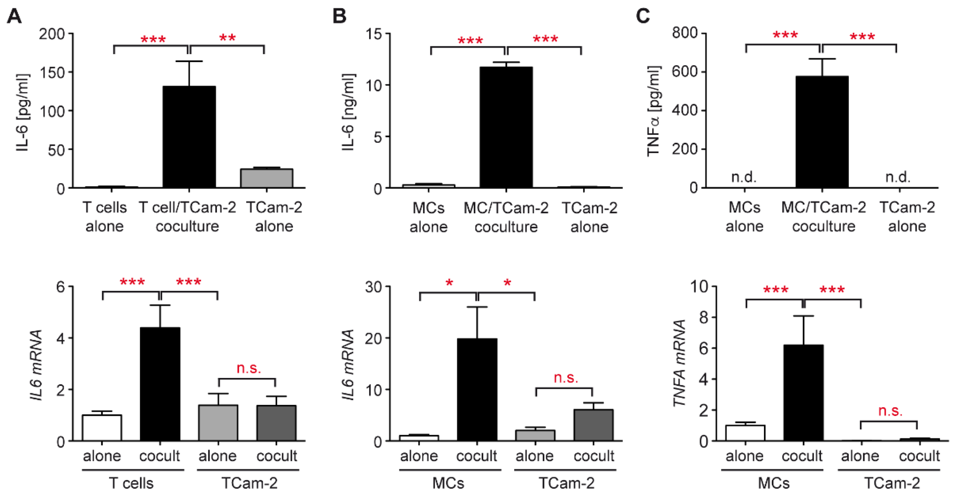 Cells 11 00885 g005 Cells 11 00885 g005