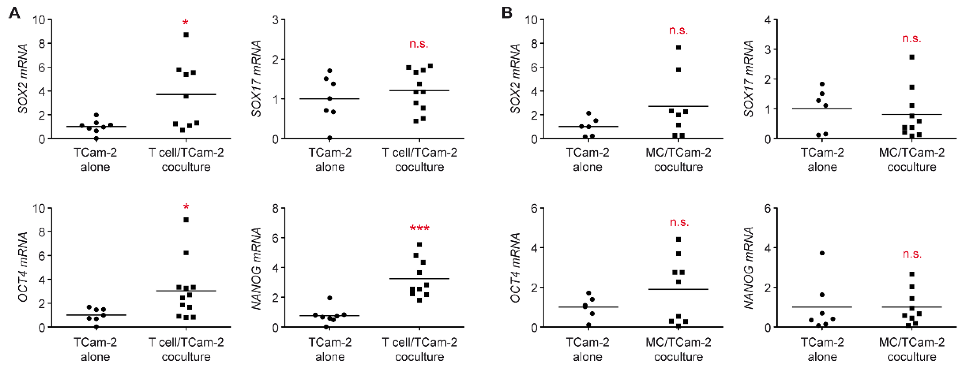Cells 11 00885 g006 Cells 11 00885 g006