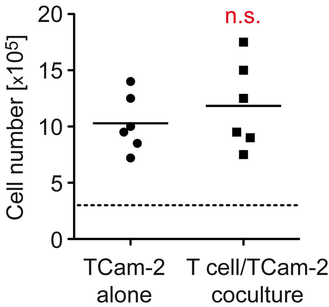 Cells 11 00885 g008 Cells 11 00885 g008