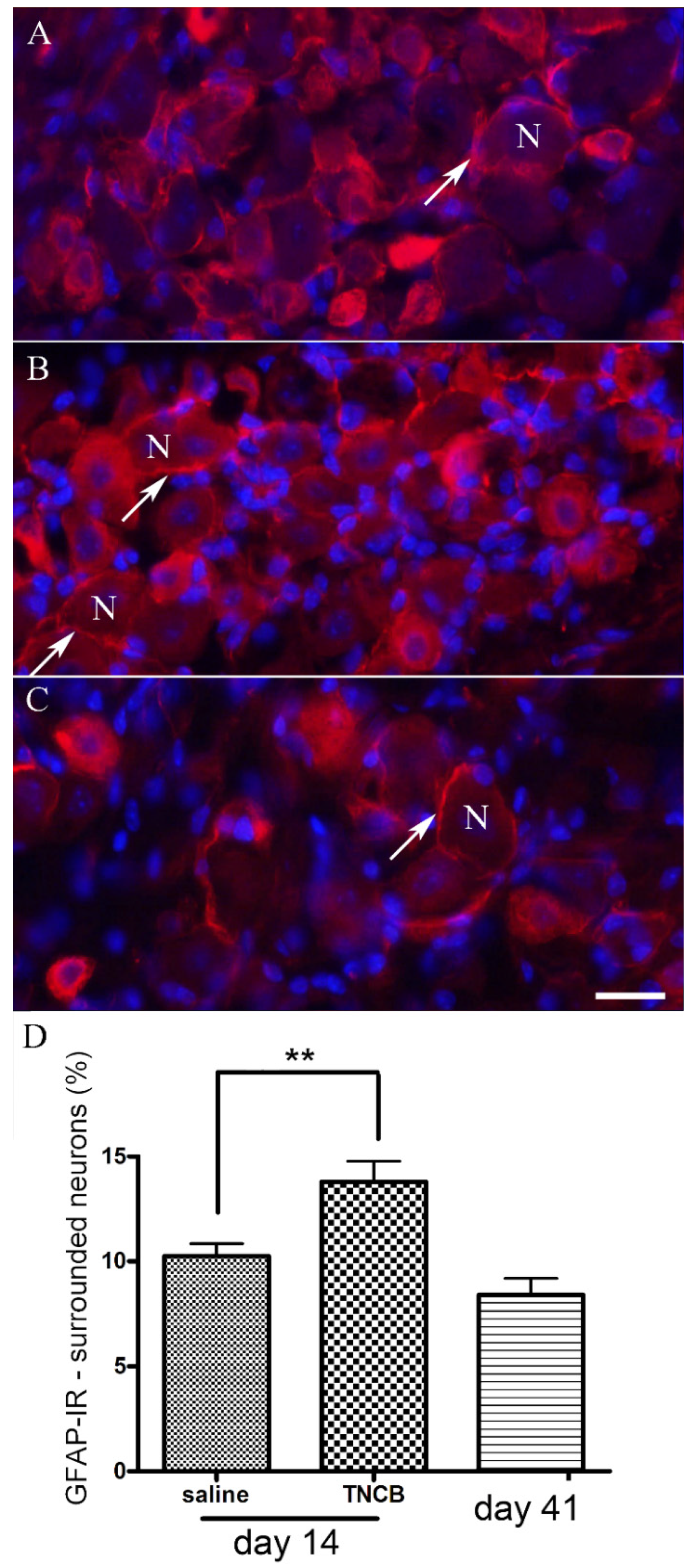 Cells 11 00886 g004 550