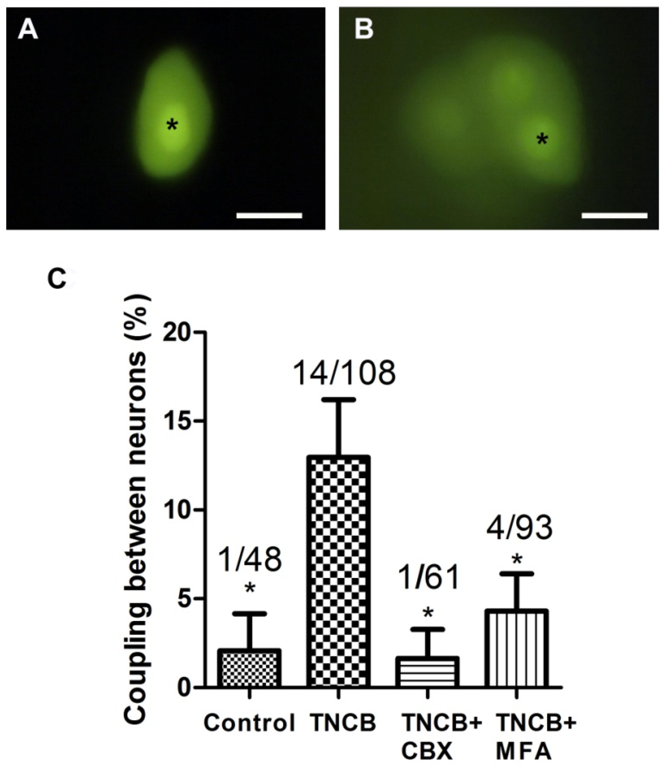 Cells 11 00886 g005 550
