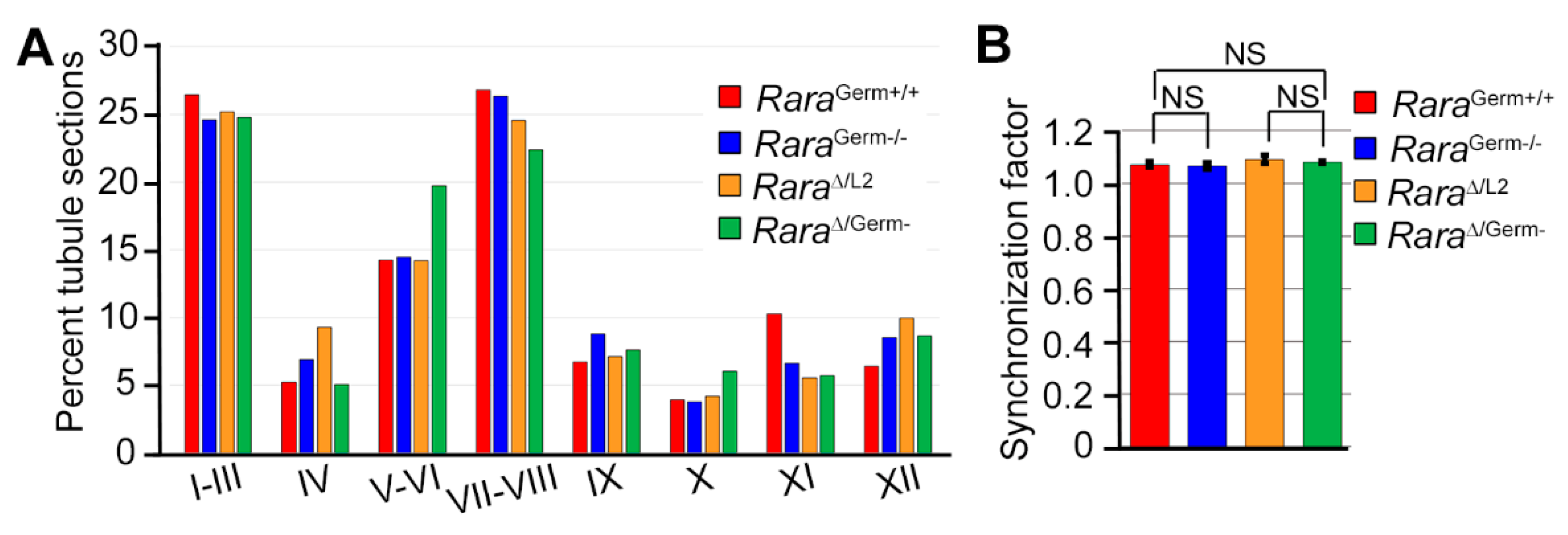 Cells 11 00891 g003 Cells 11 00891 g003