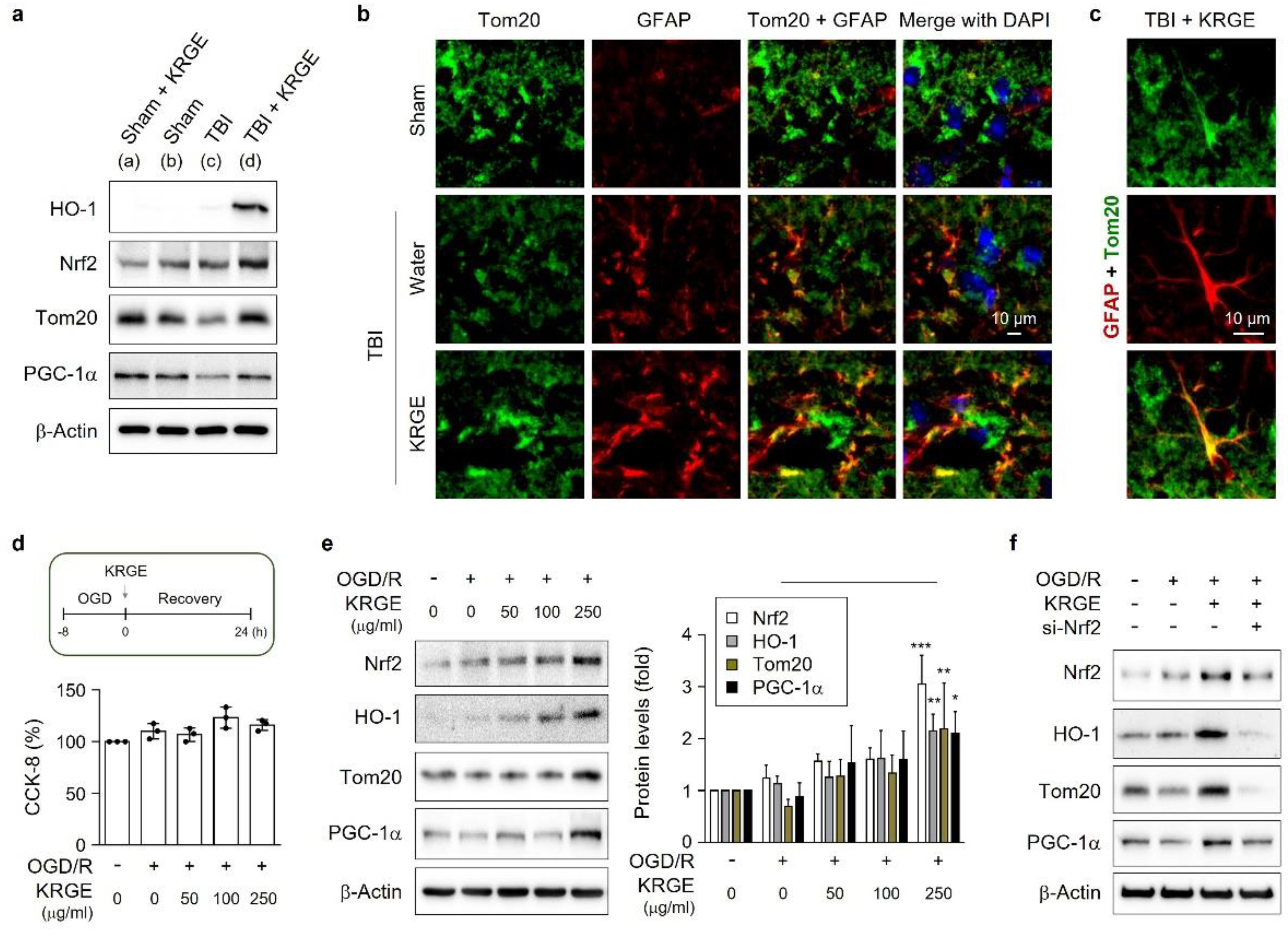 Cells 11 00892 g001 550