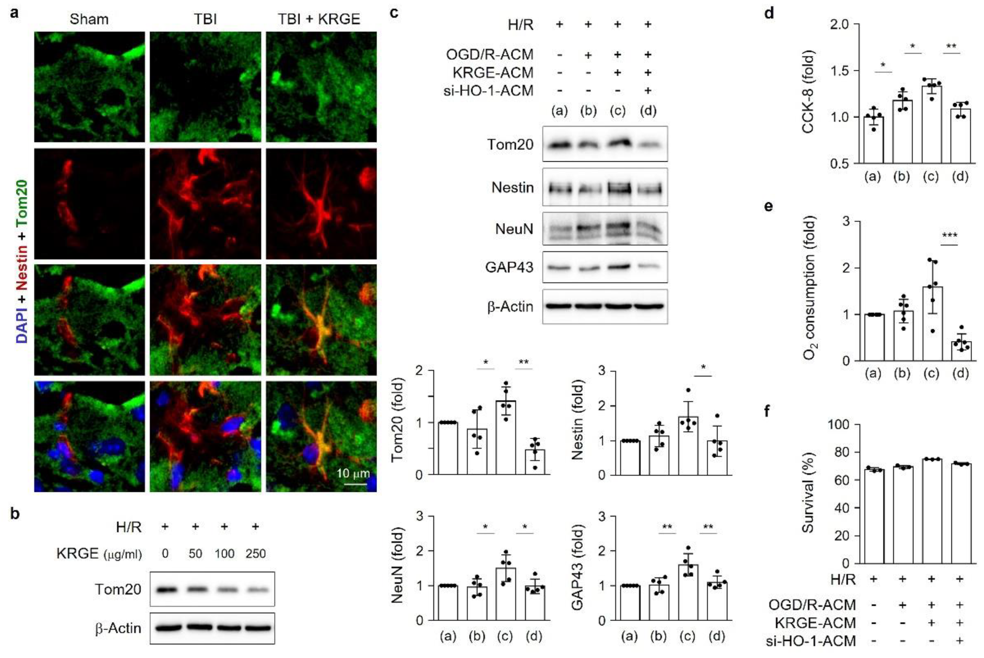 Cells 11 00892 g007 550