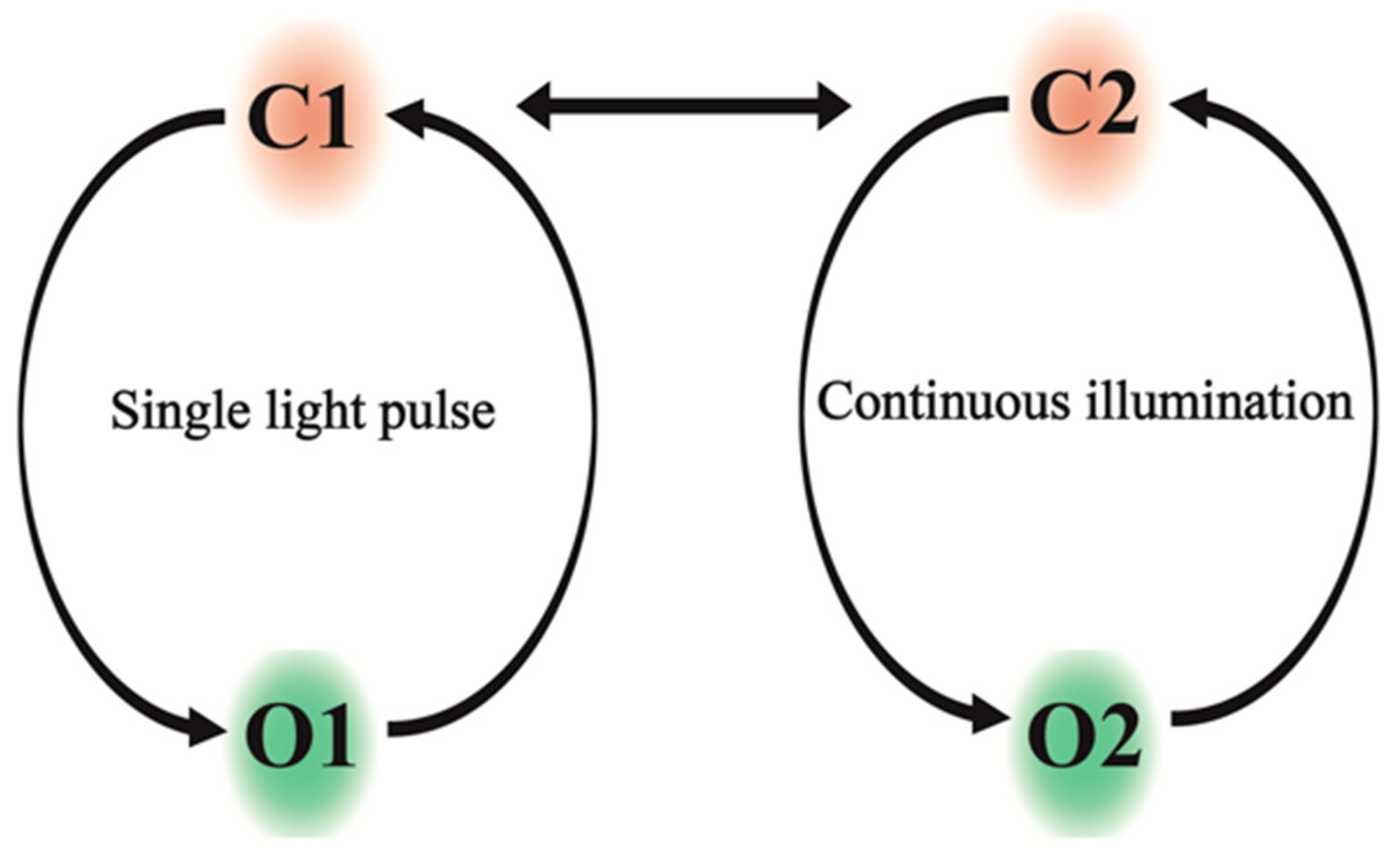 Cells 11 00895 g001 Cells 11 00895 g001
