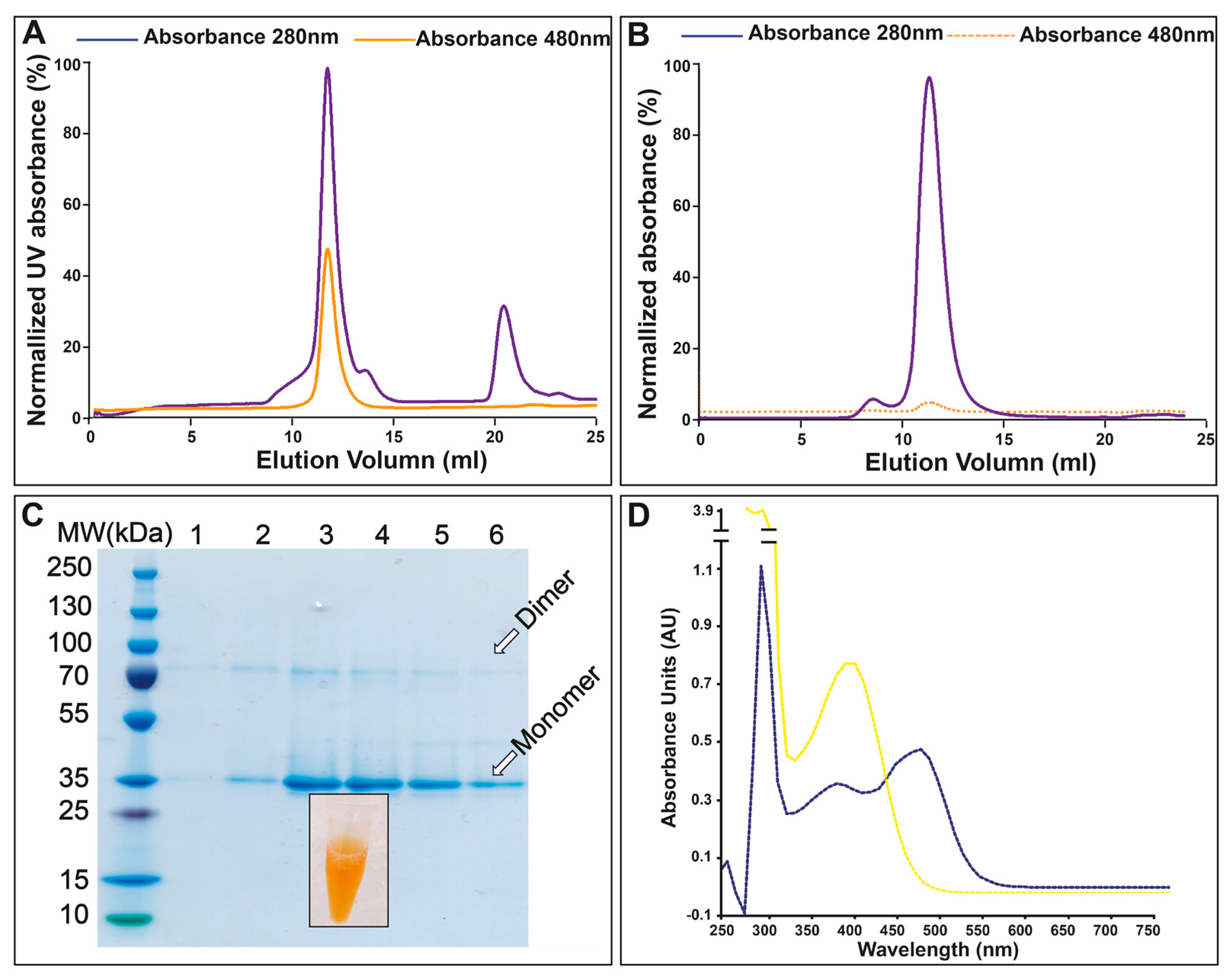 Cells 11 00895 g003 Cells 11 00895 g003