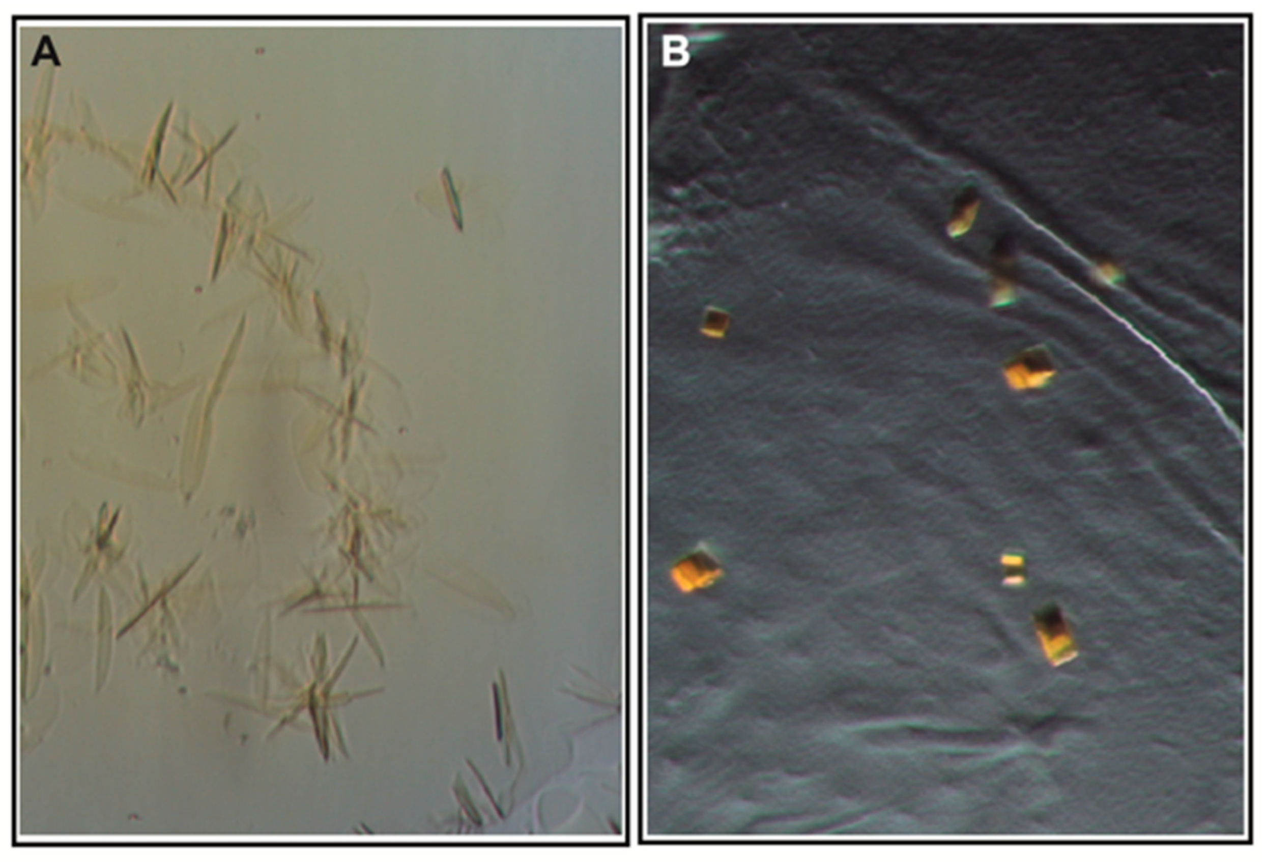 Cells 11 00895 g004 Cells 11 00895 g004