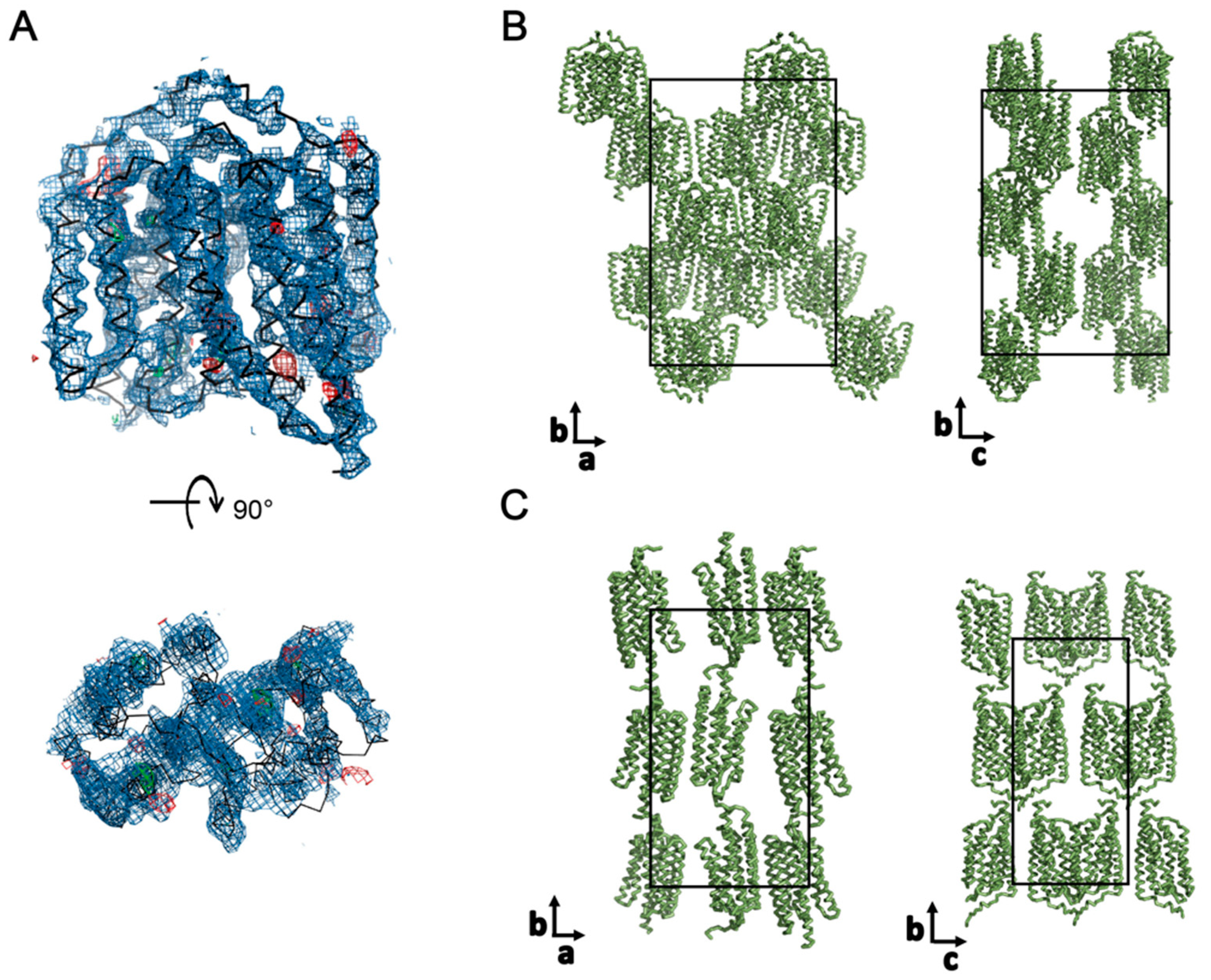 Cells 11 00895 g005 Cells 11 00895 g005
