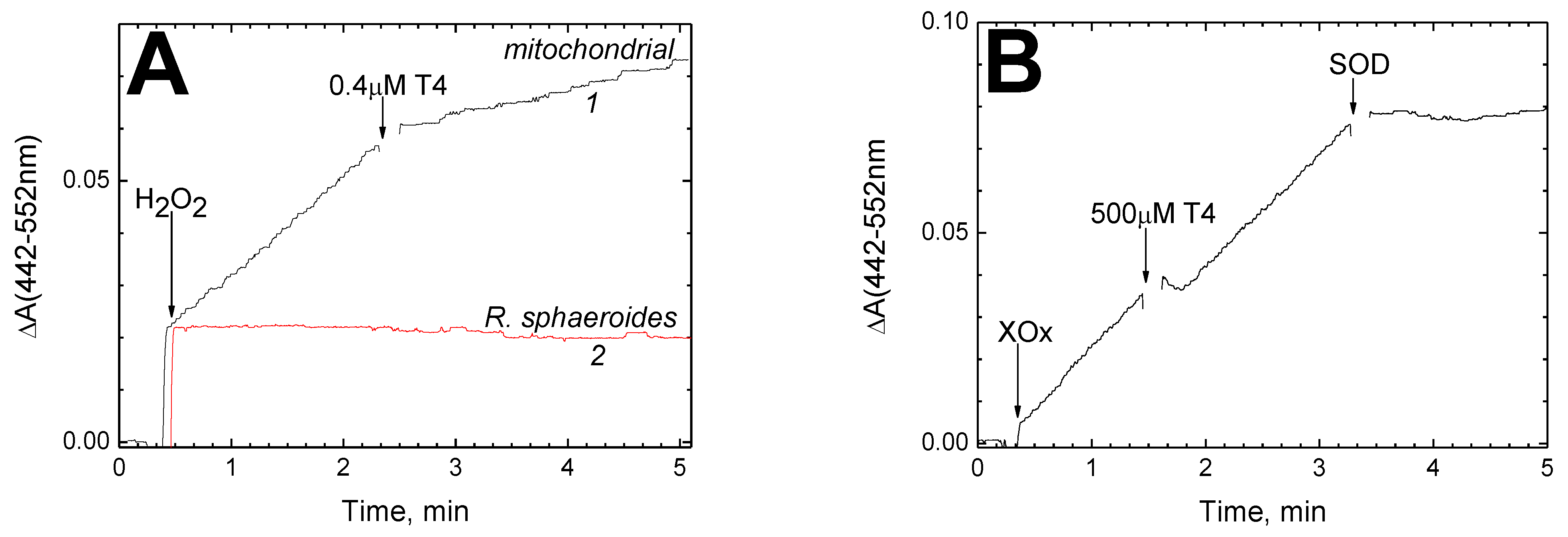 Cells 11 00908 g007a