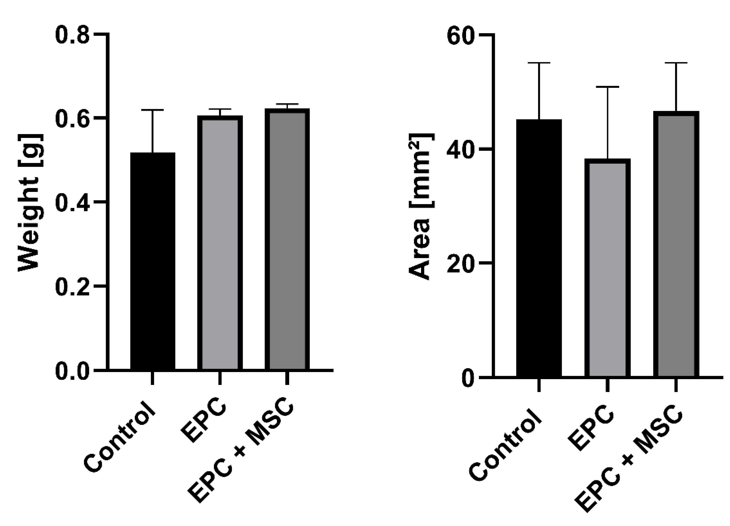 Cells 11 00926 g004 Cells 11 00926 g004