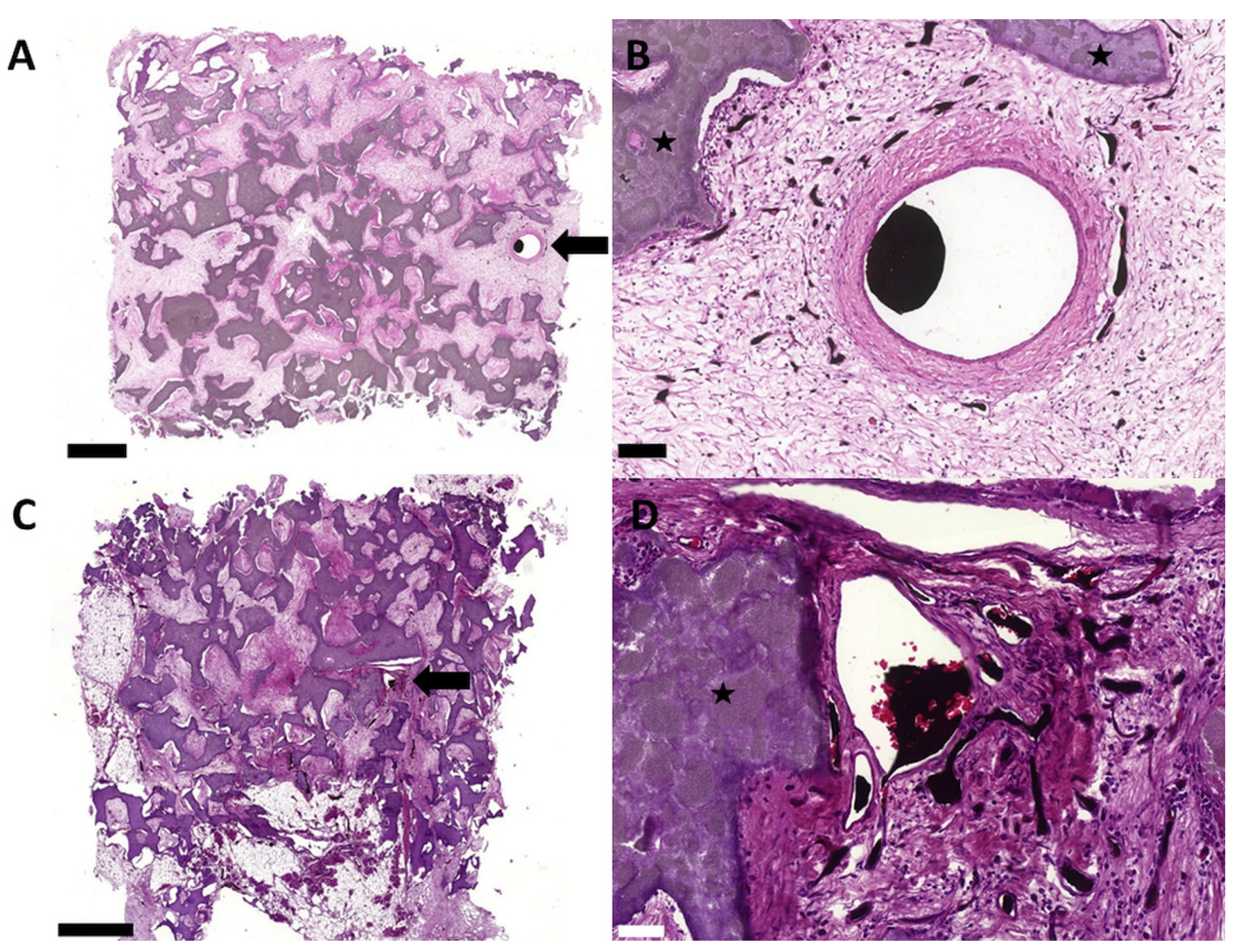 Cells 11 00926 g005 Cells 11 00926 g005