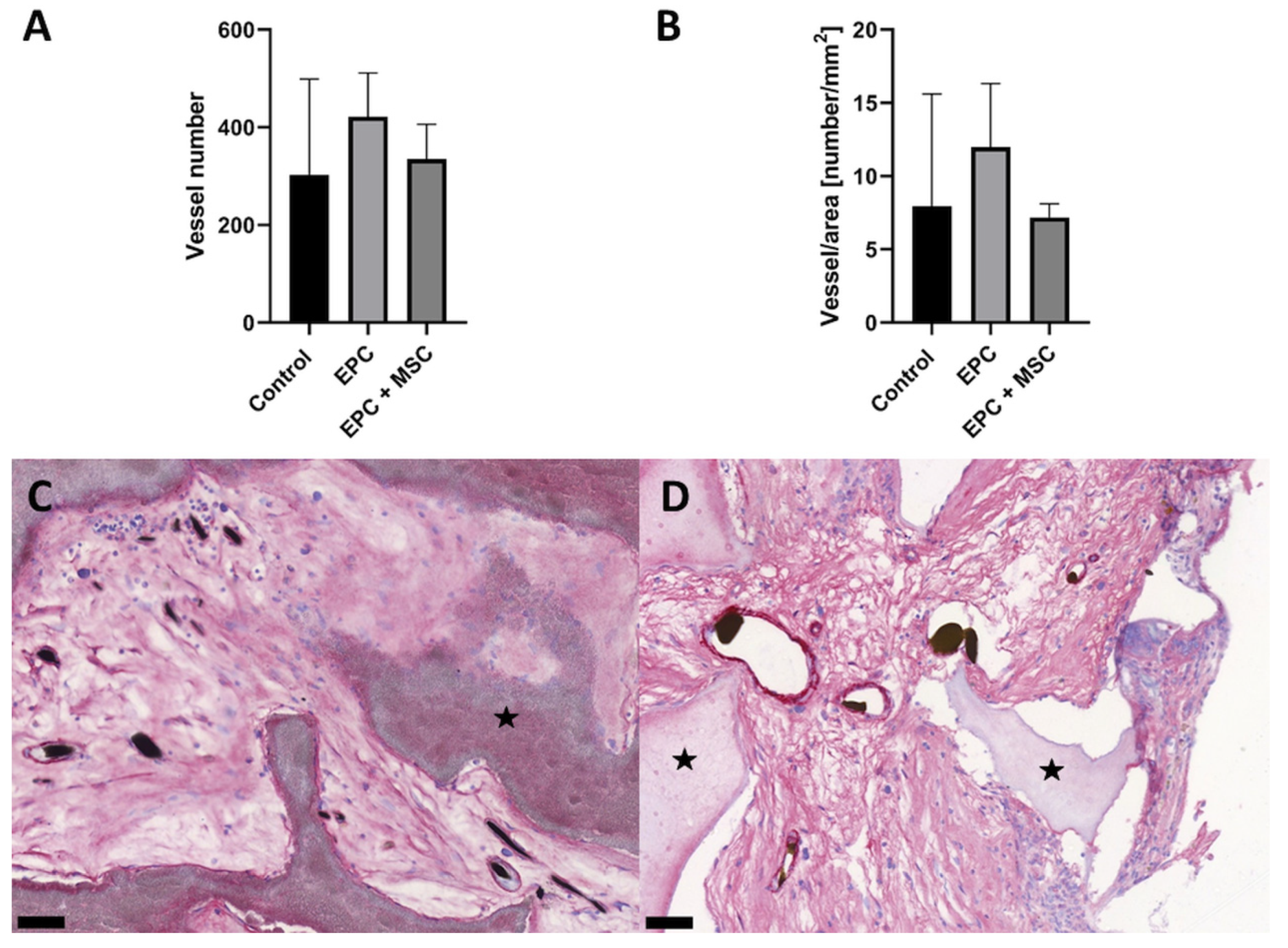 Cells 11 00926 g006 Cells 11 00926 g006