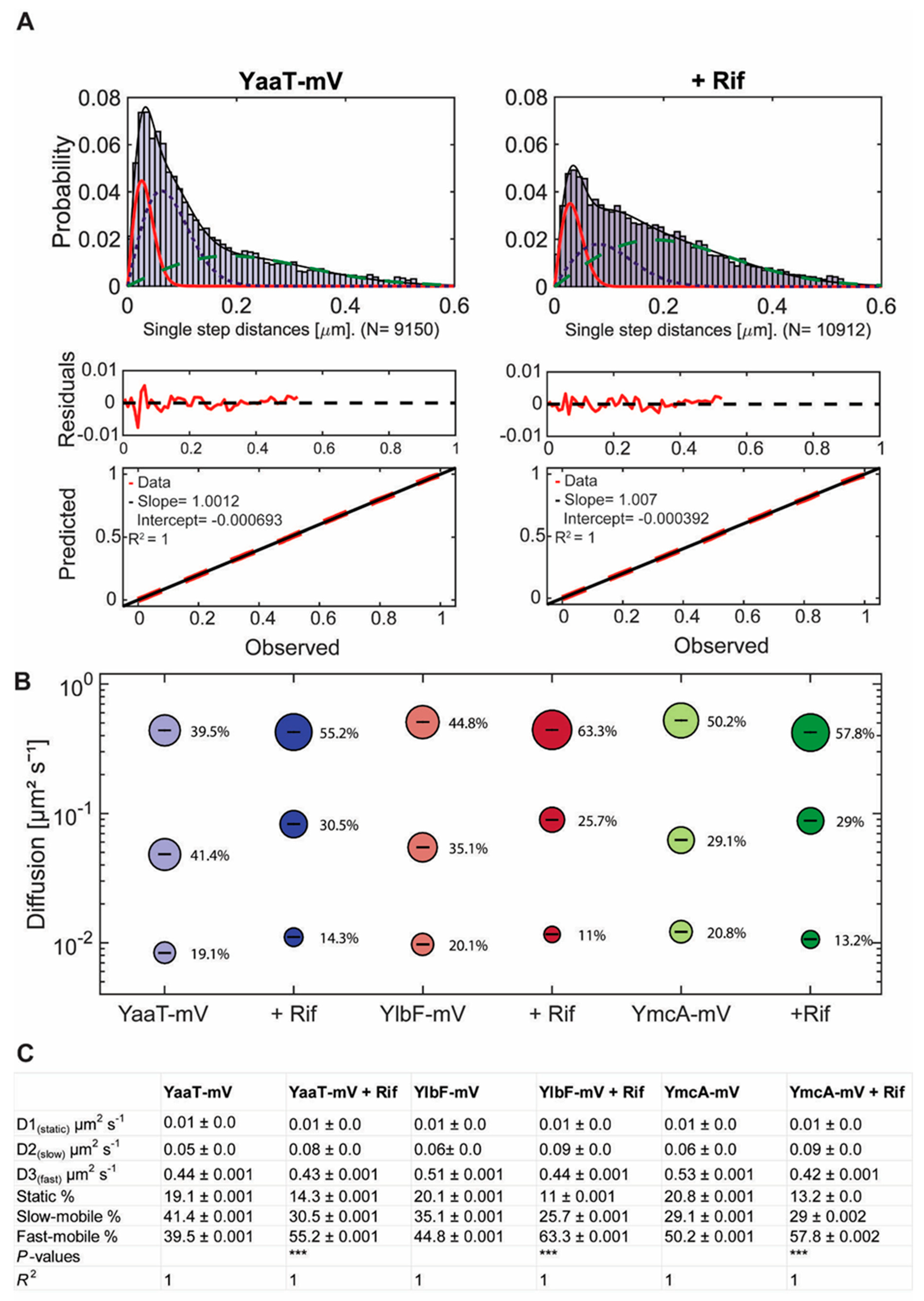 Cells 11 00933 g004 Cells 11 00933 g004