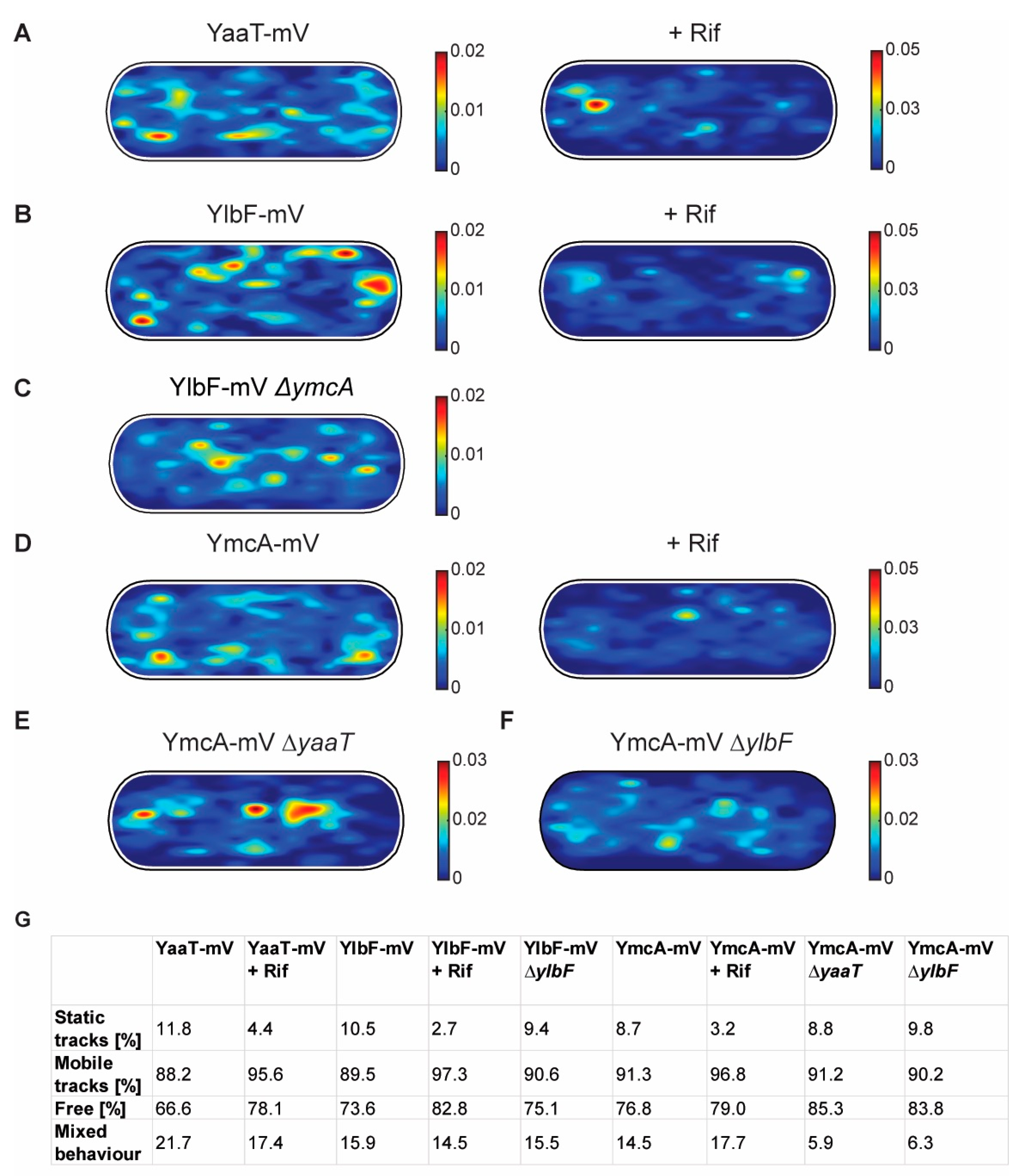 Cells 11 00933 g006 Cells 11 00933 g006