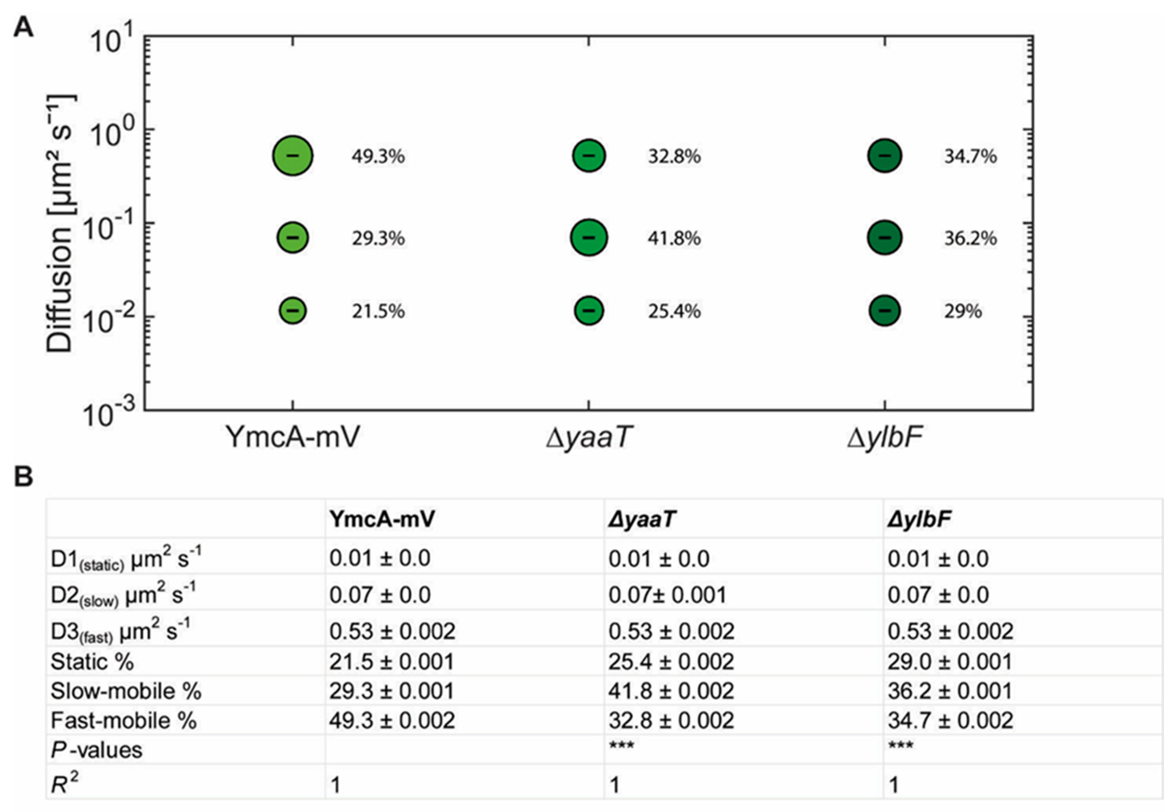 Cells 11 00933 g007 Cells 11 00933 g007