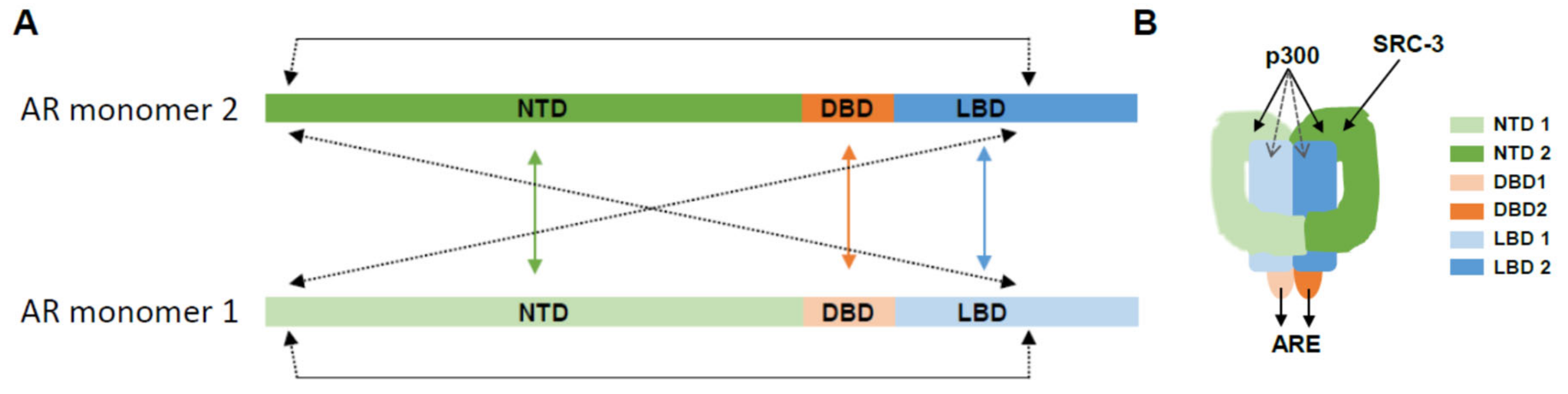Cells 11 00936 g003 Cells 11 00936 g003