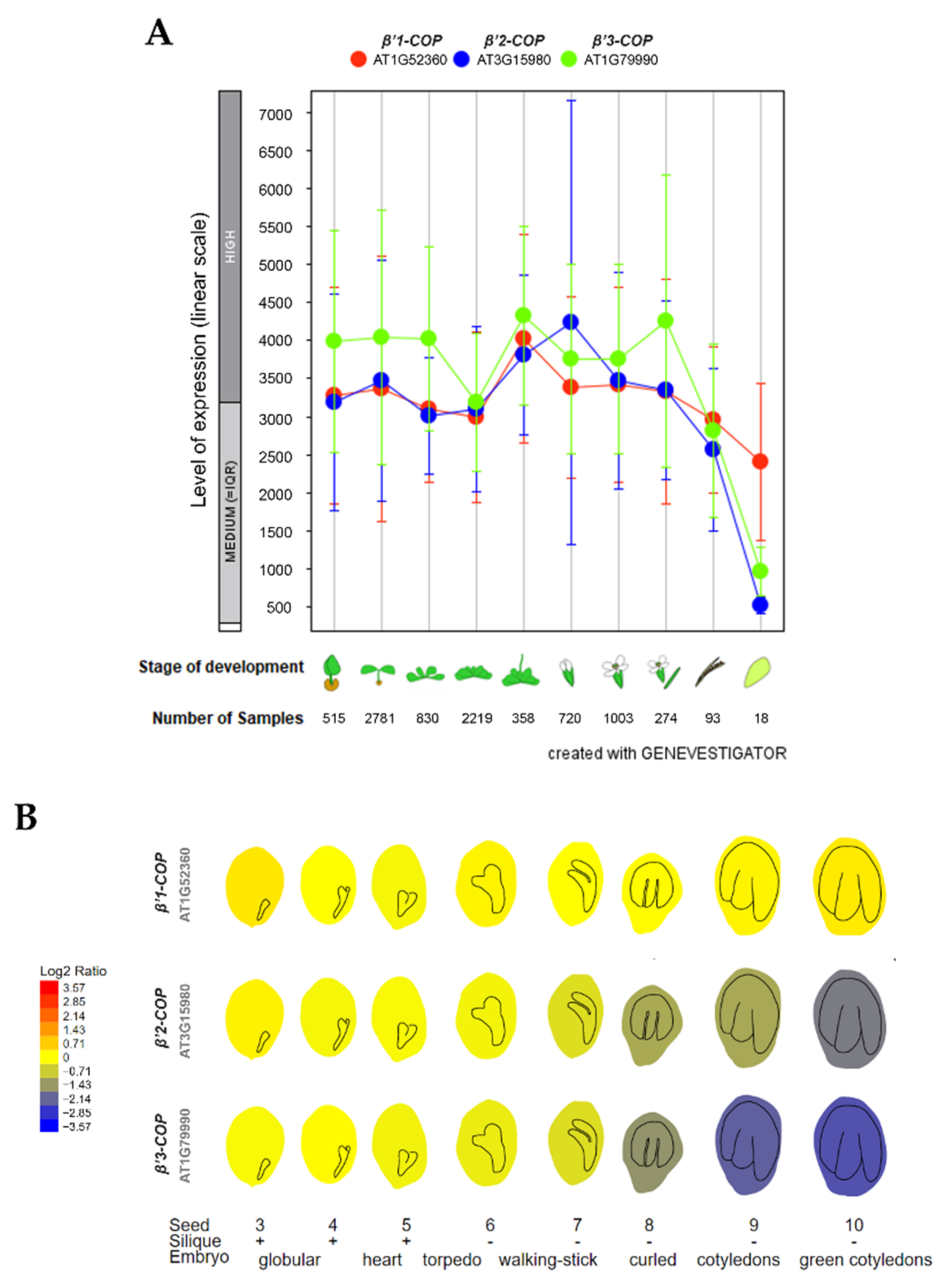 Cells 11 00938 g001 550