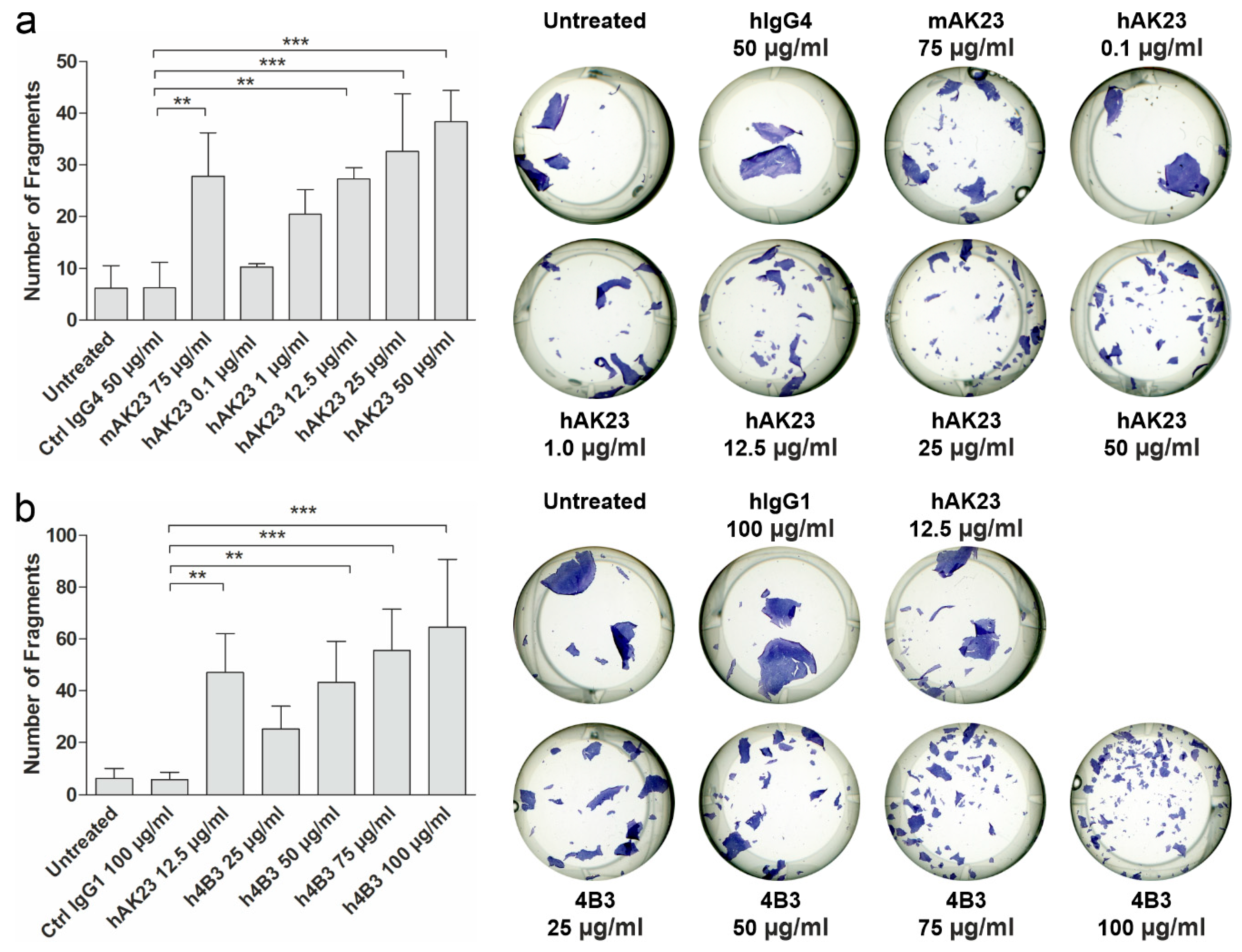 Cells 11 00942 g002 550