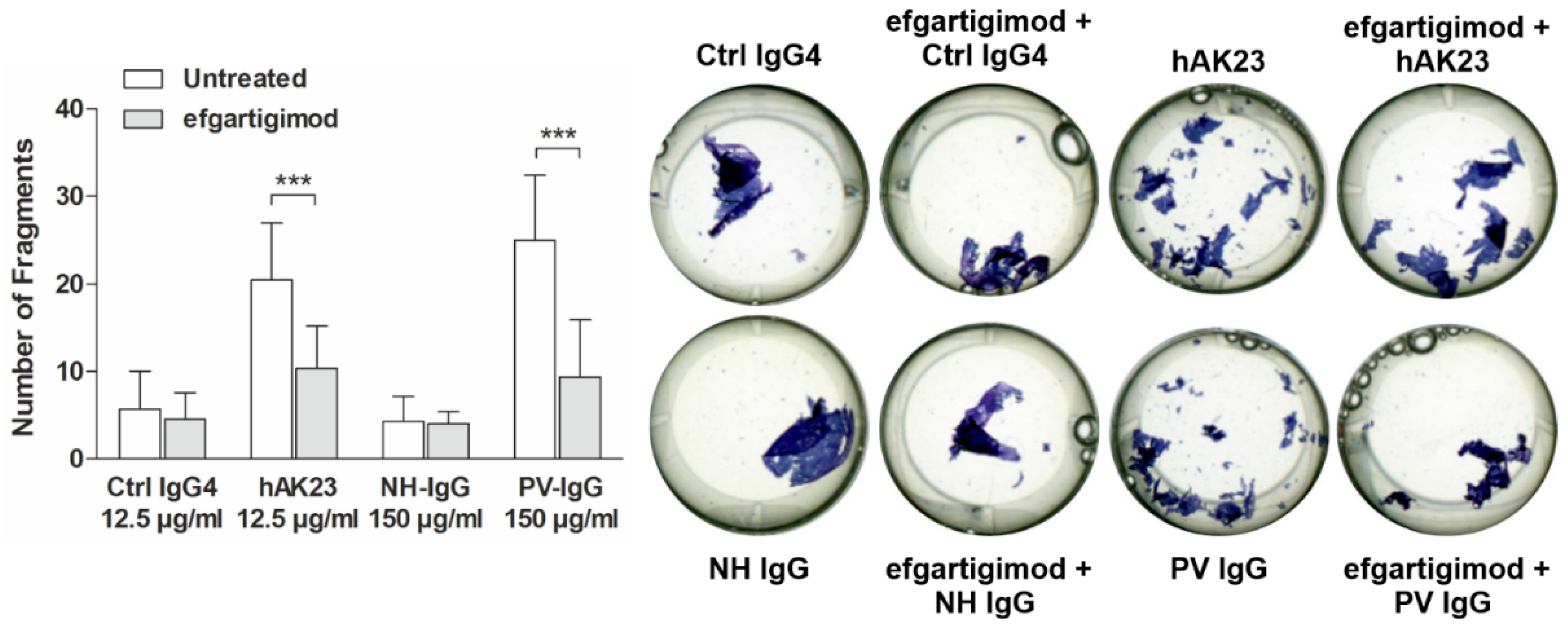 Cells 11 00942 g005 550