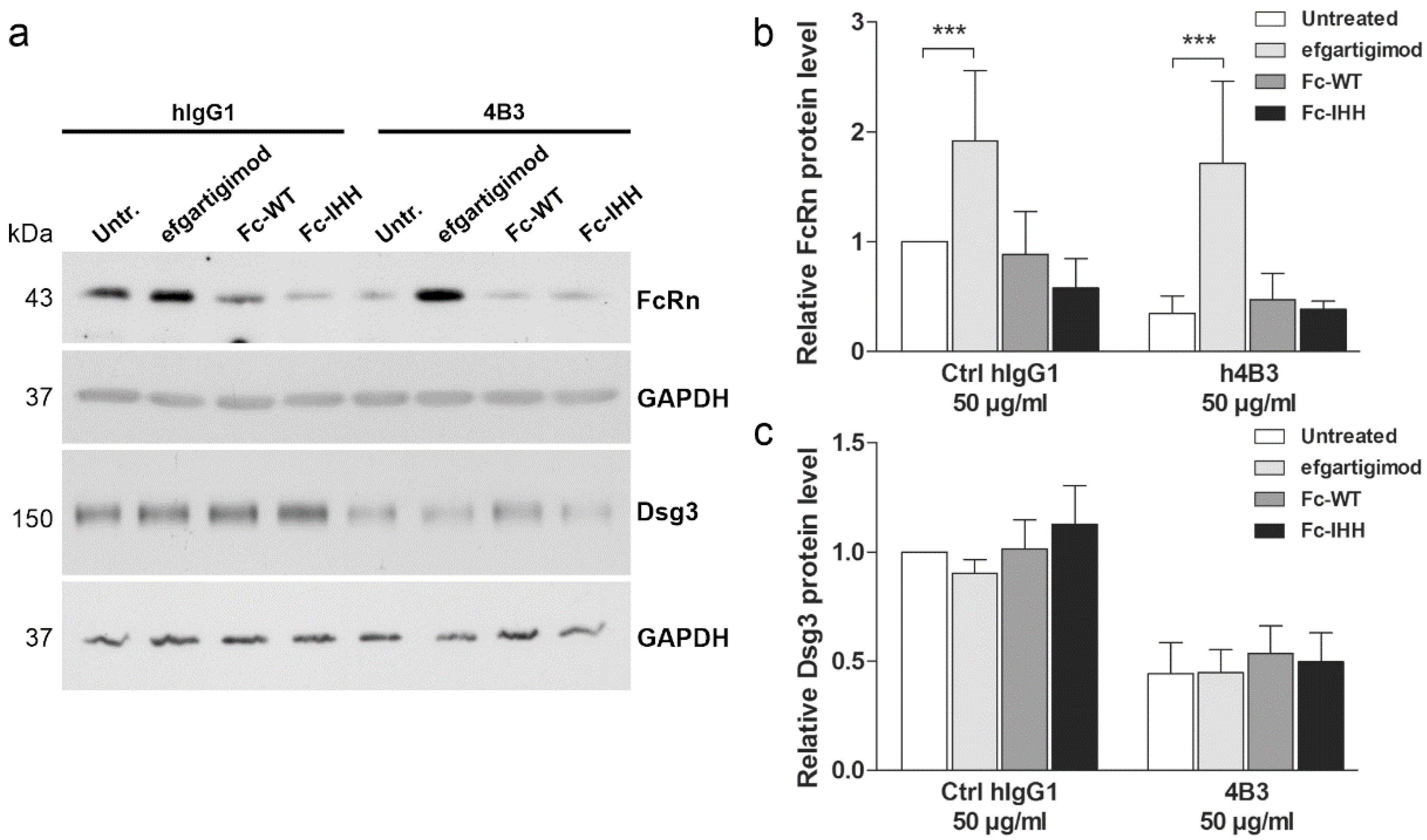 Cells 11 00942 g009 550