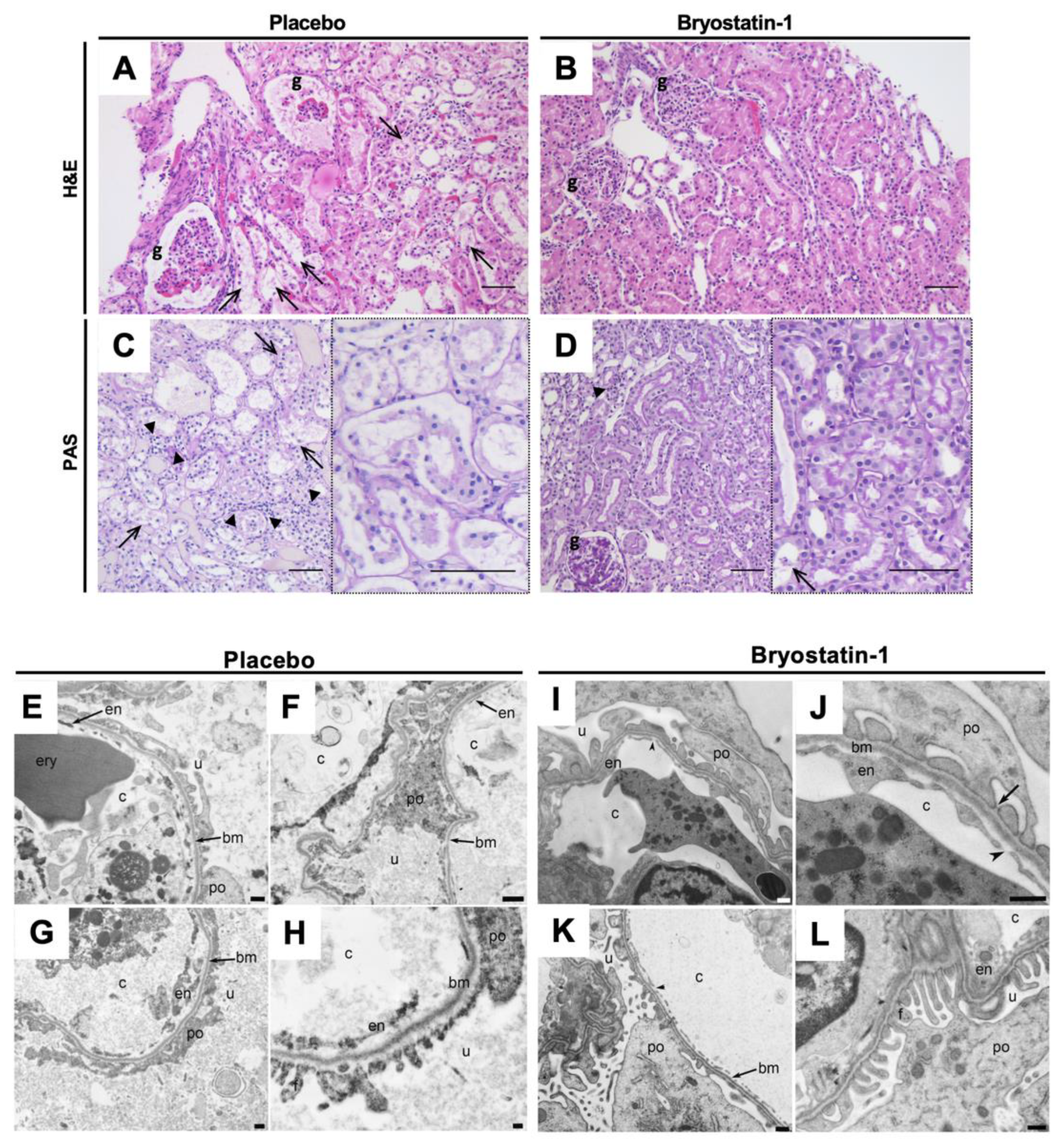 Cells 11 00948 g007 550