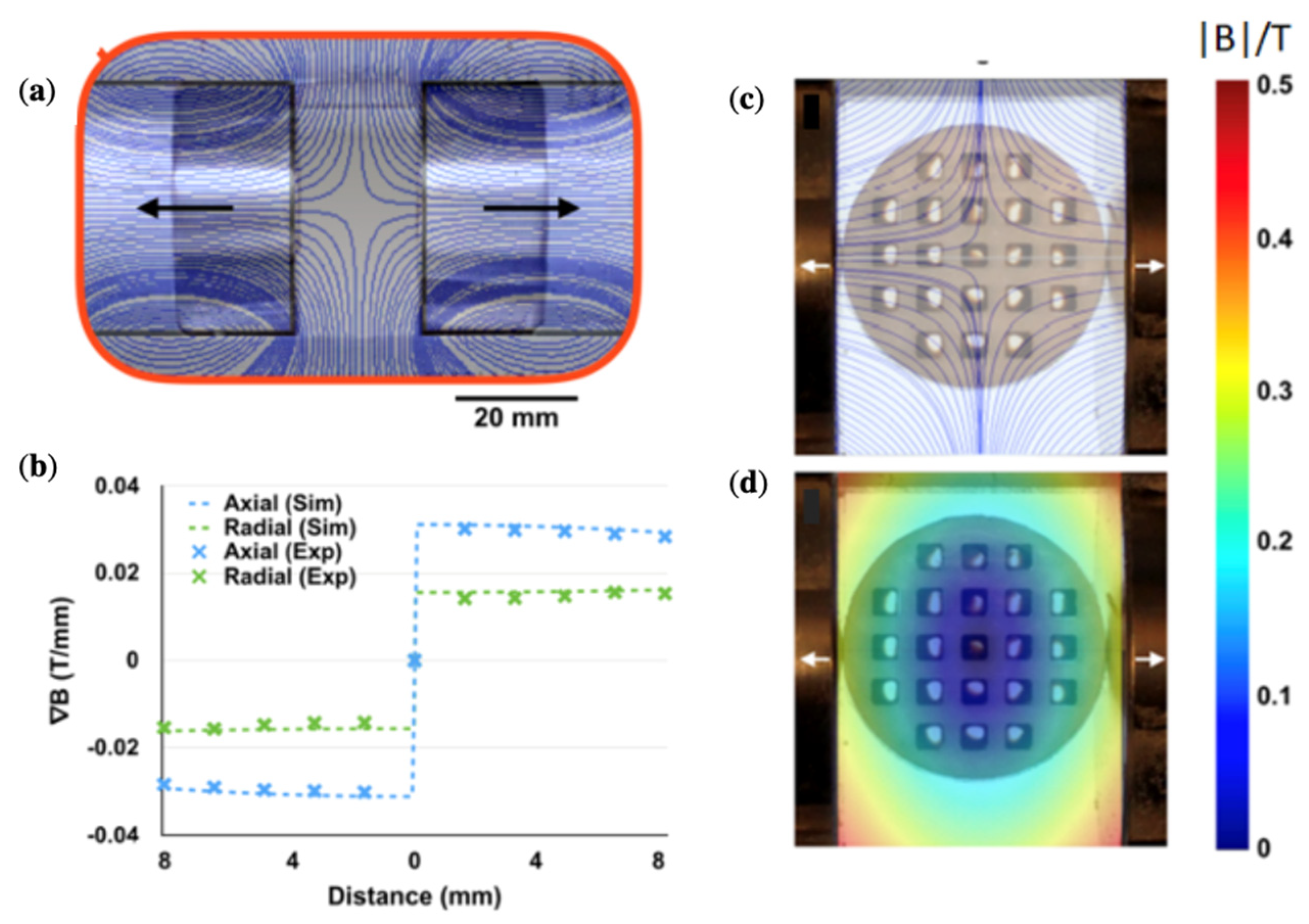 Cells 11 00950 g007 550