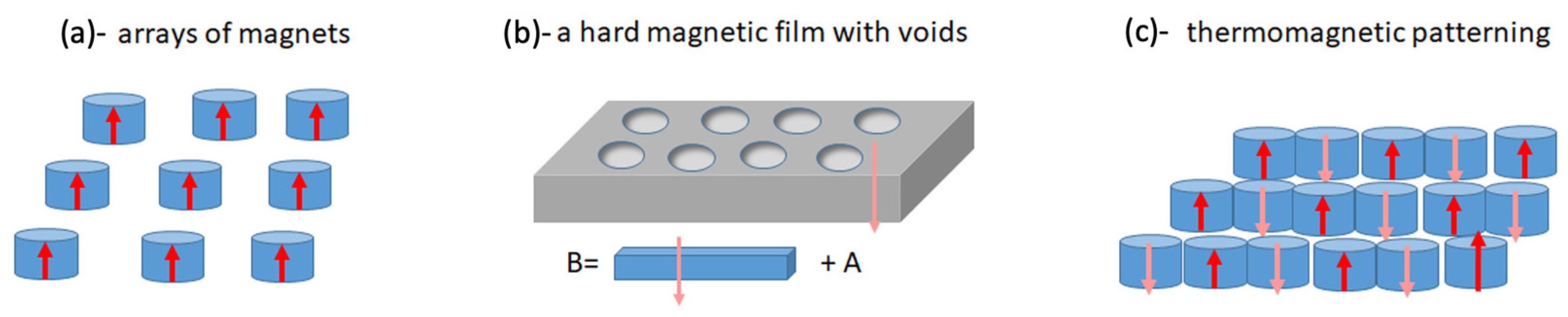 Cells 11 00950 g011 550
