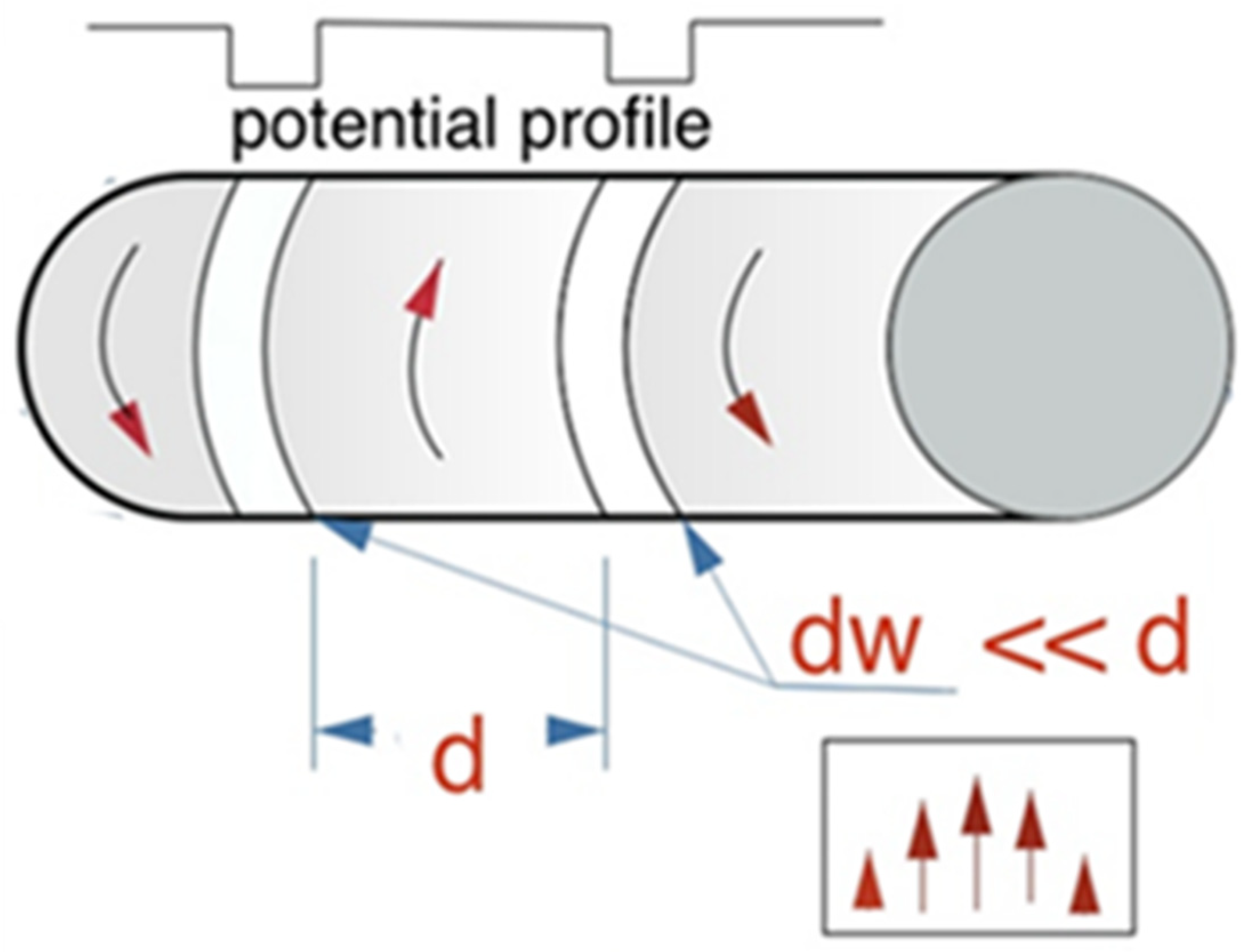 Cells 11 00950 g017 550