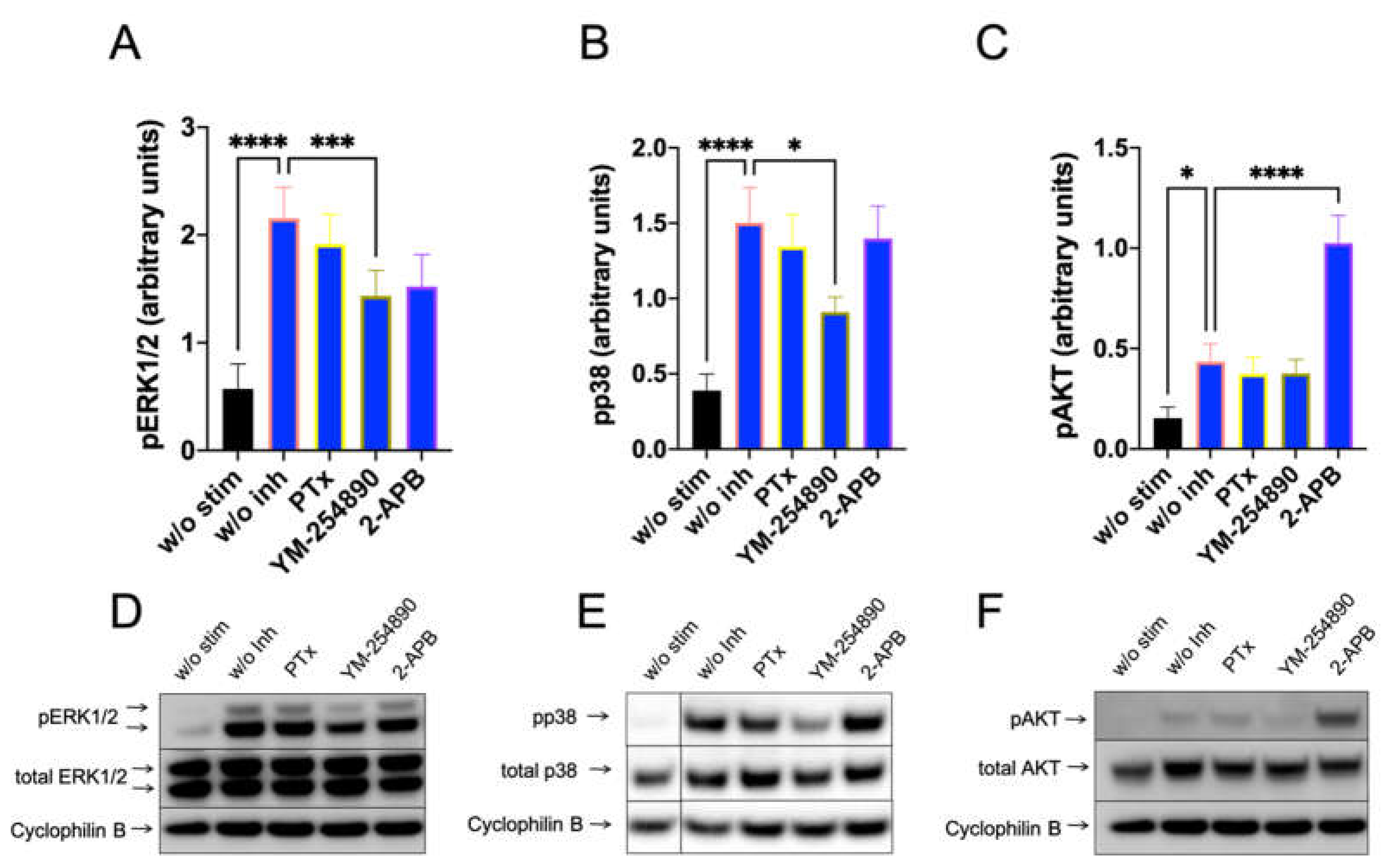 Cells 11 00953 g005 550