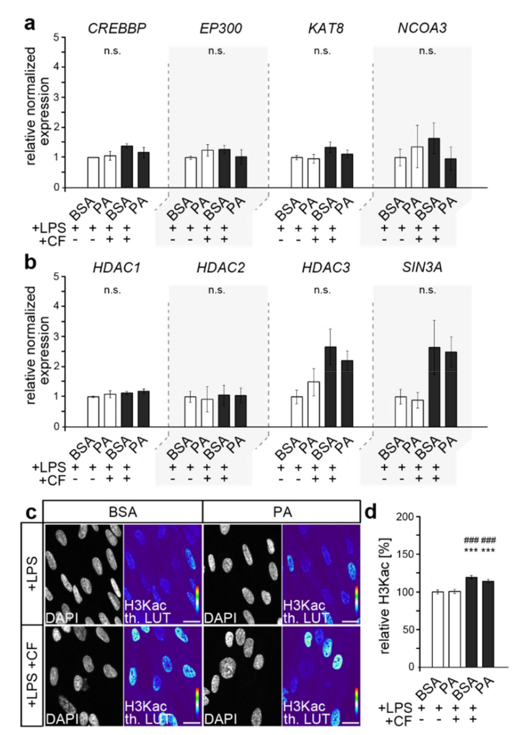 Cells 11 00955 g001 Cells 11 00955 g001