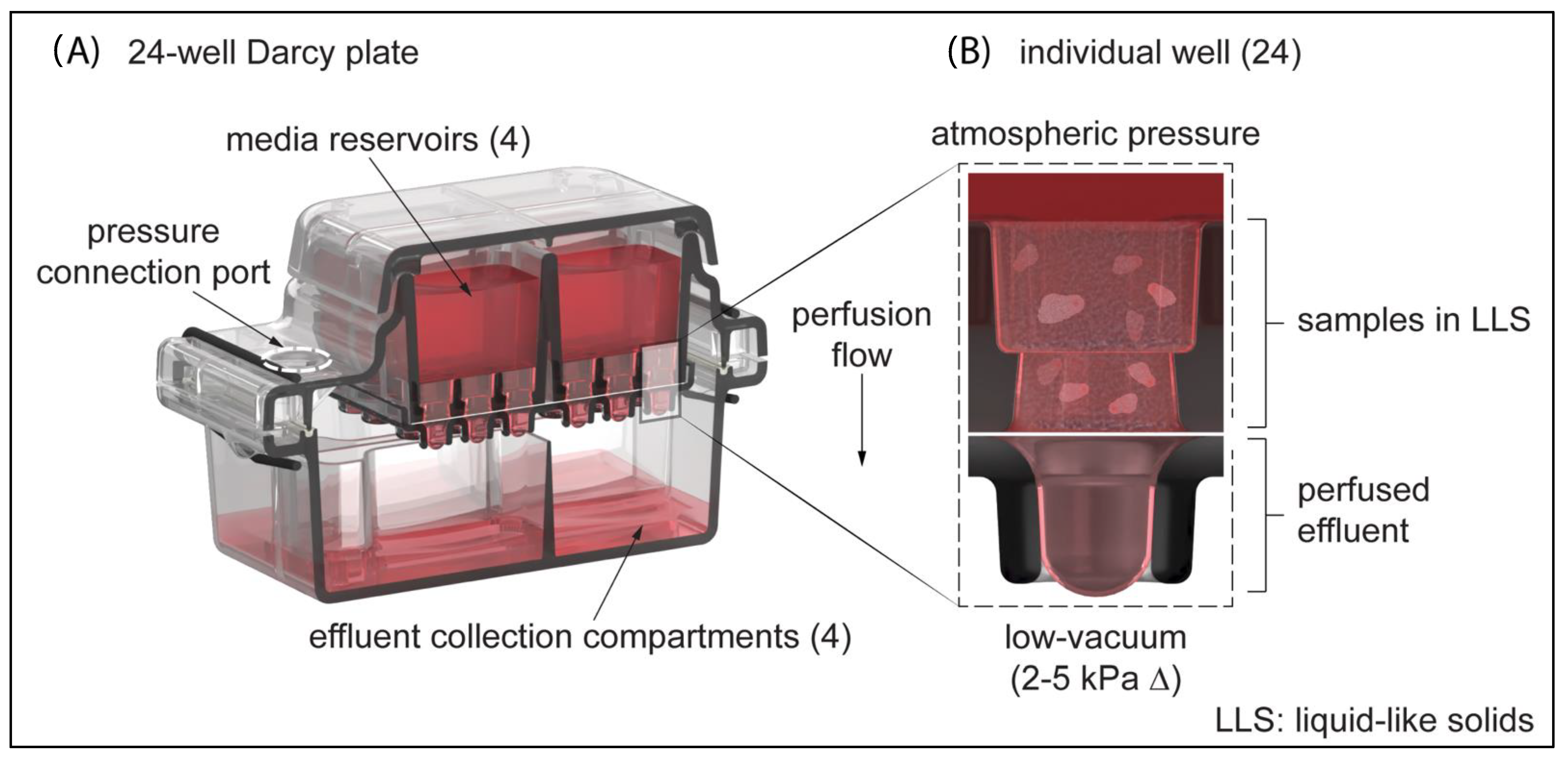 Fiesta relajado viuda Cells | Free Full-Text | 3D In Vitro Platform for Cell and Explant Culture  in Liquid-like Solids