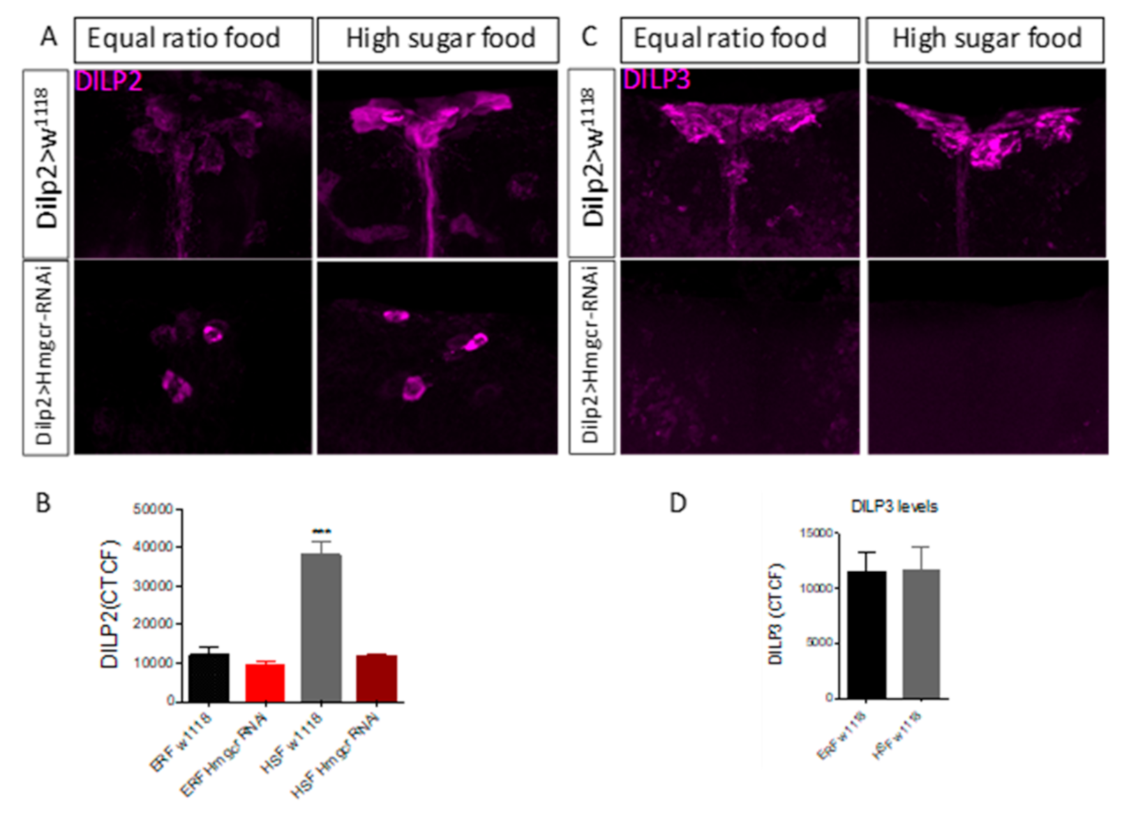 Cells 11 00970 g002 550